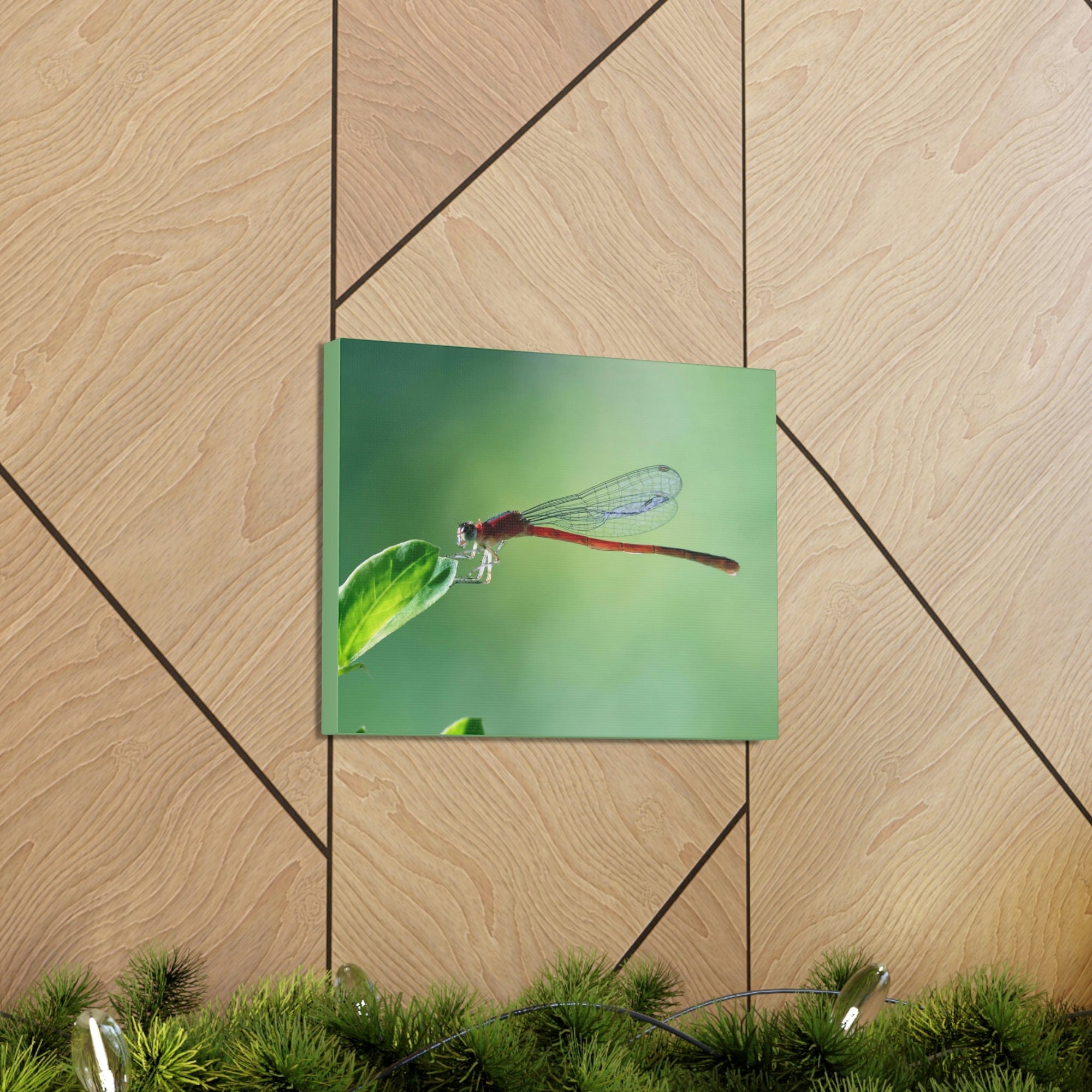 Scripture Walls Majestic Damselfly Perched on a Green Leaf Art Print Animal Wall Art Wildlife Canvas Prints Wall Art Ready to Hang Unframed-Express Your Love Gifts