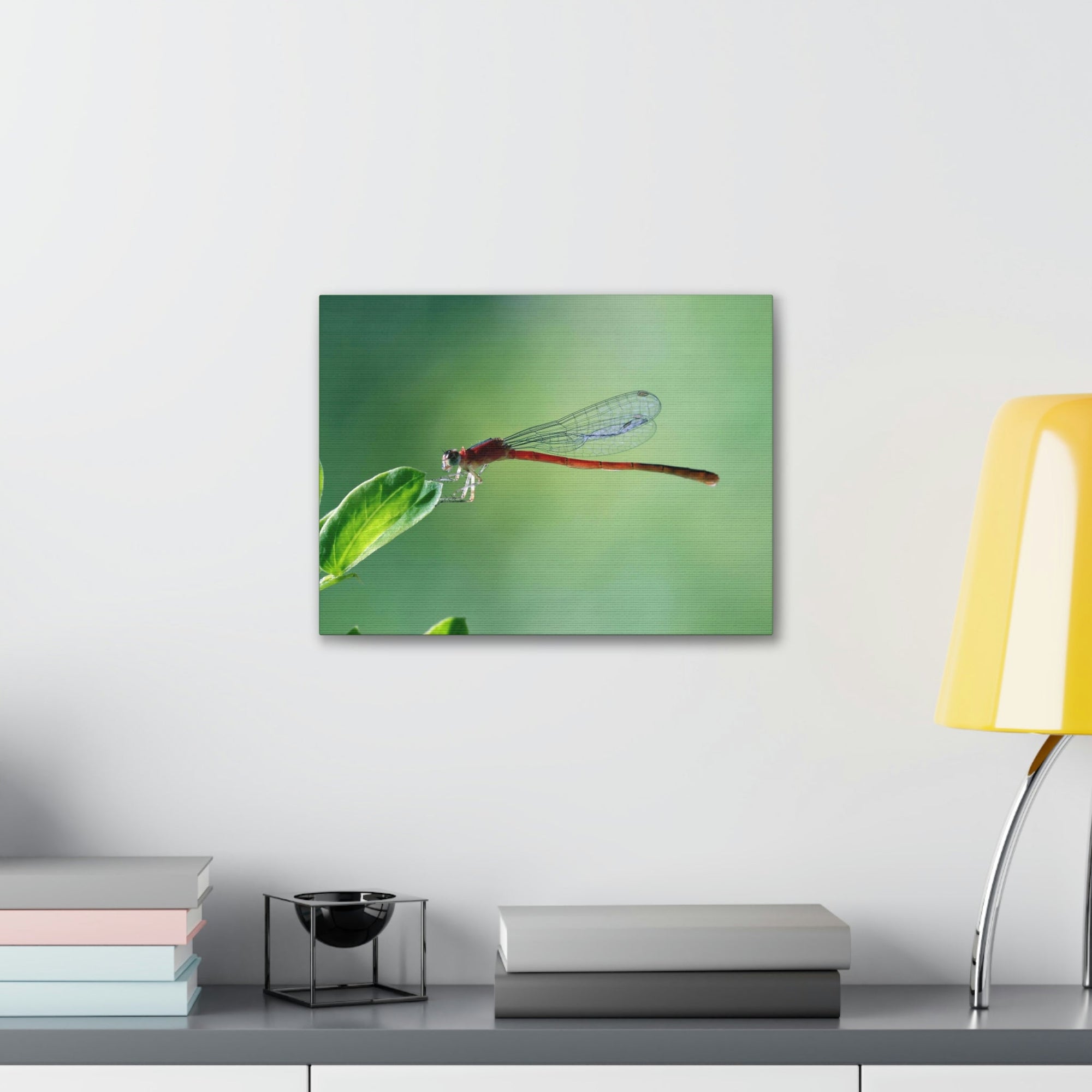 Scripture Walls Majestic Damselfly Perched on a Green Leaf Art Print Animal Wall Art Wildlife Canvas Prints Wall Art Ready to Hang Unframed-Express Your Love Gifts