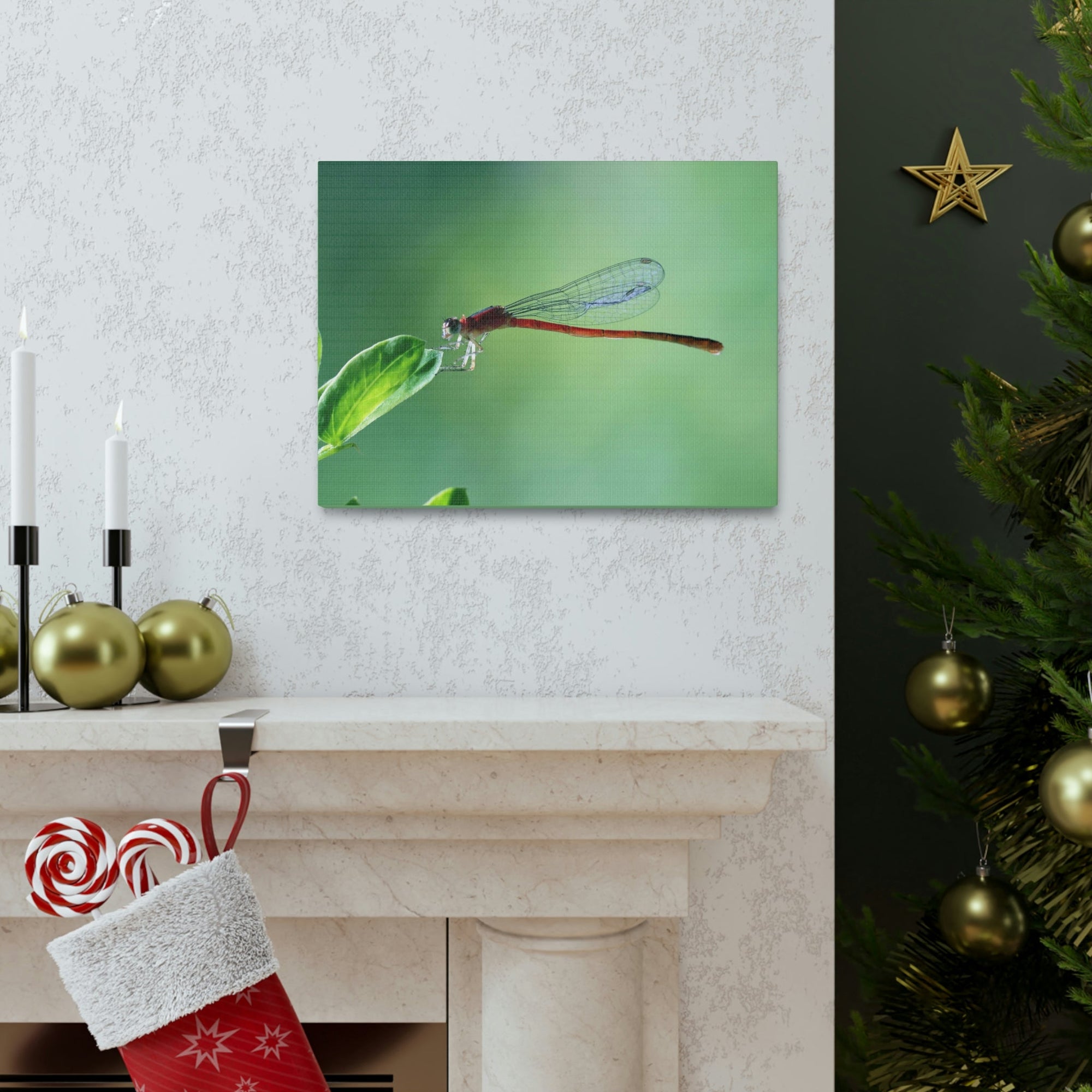 Scripture Walls Majestic Damselfly Perched on a Green Leaf Art Print Animal Wall Art Wildlife Canvas Prints Wall Art Ready to Hang Unframed-Express Your Love Gifts