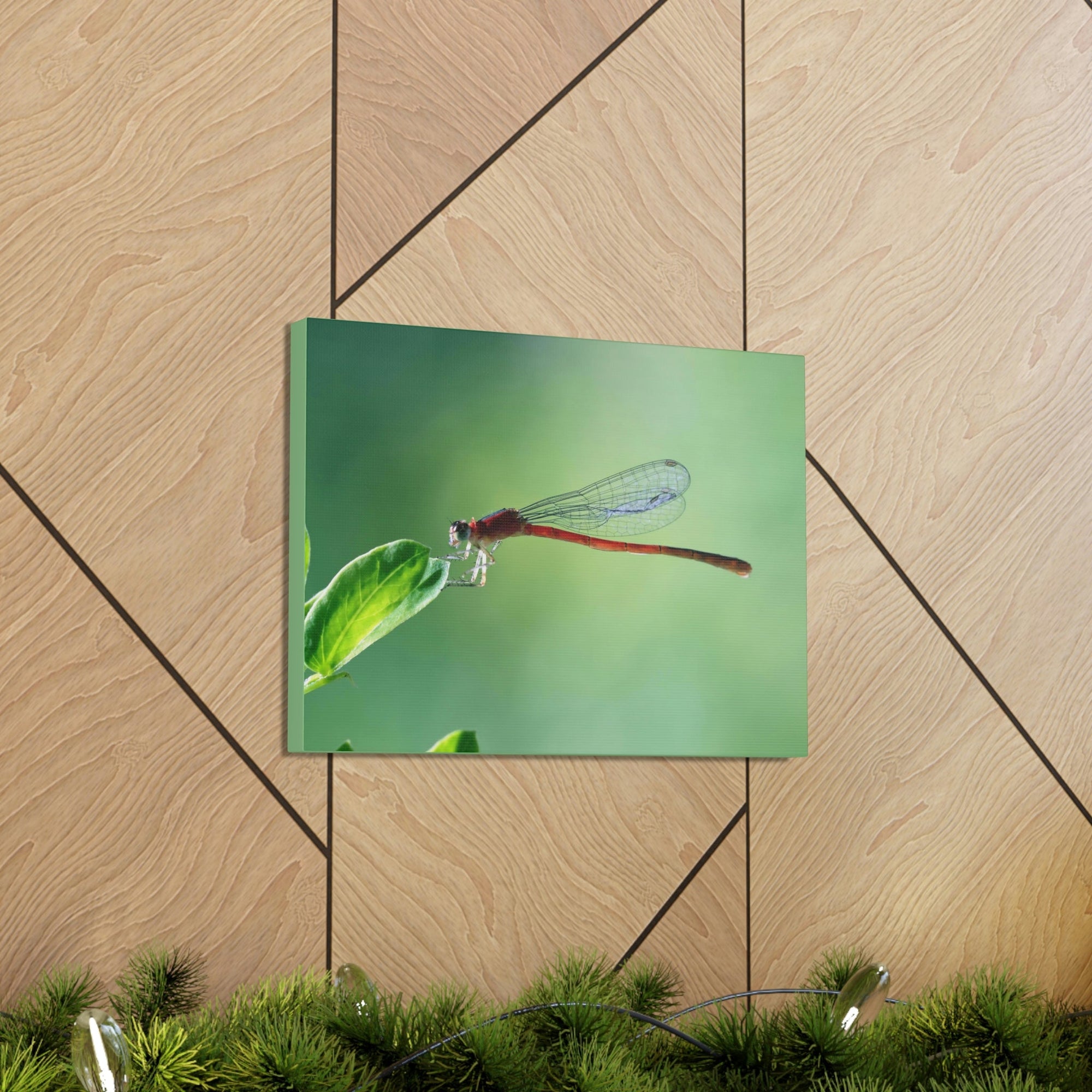 Scripture Walls Majestic Damselfly Perched on a Green Leaf Art Print Animal Wall Art Wildlife Canvas Prints Wall Art Ready to Hang Unframed-Express Your Love Gifts