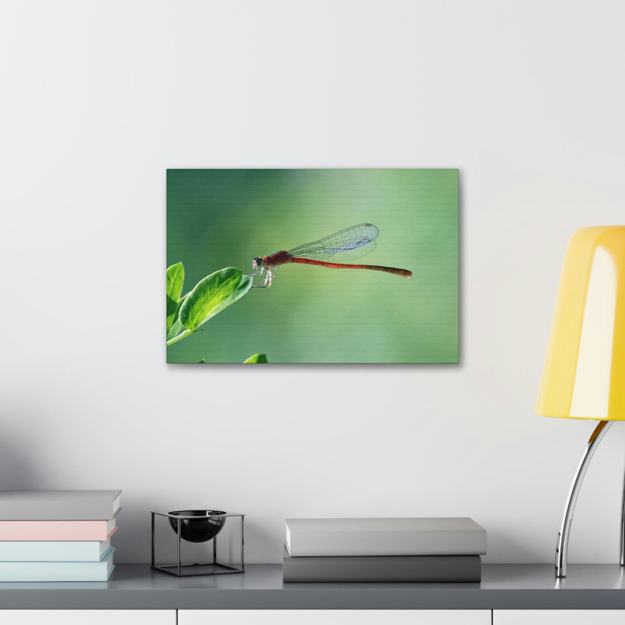 Scripture Walls Majestic Damselfly Perched on a Green Leaf Art Print Animal Wall Art Wildlife Canvas Prints Wall Art Ready to Hang Unframed-Express Your Love Gifts