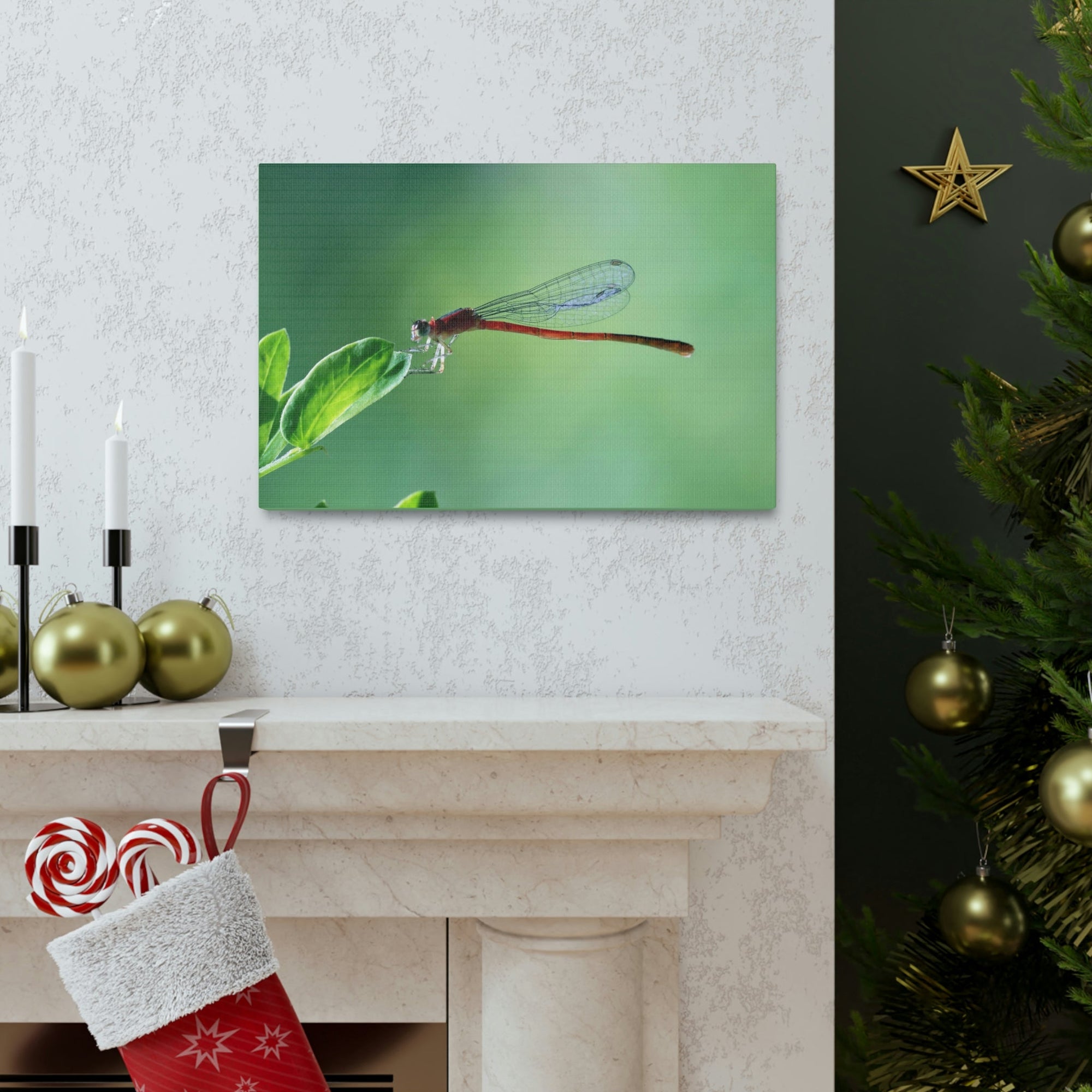 Scripture Walls Majestic Damselfly Perched on a Green Leaf Art Print Animal Wall Art Wildlife Canvas Prints Wall Art Ready to Hang Unframed-Express Your Love Gifts