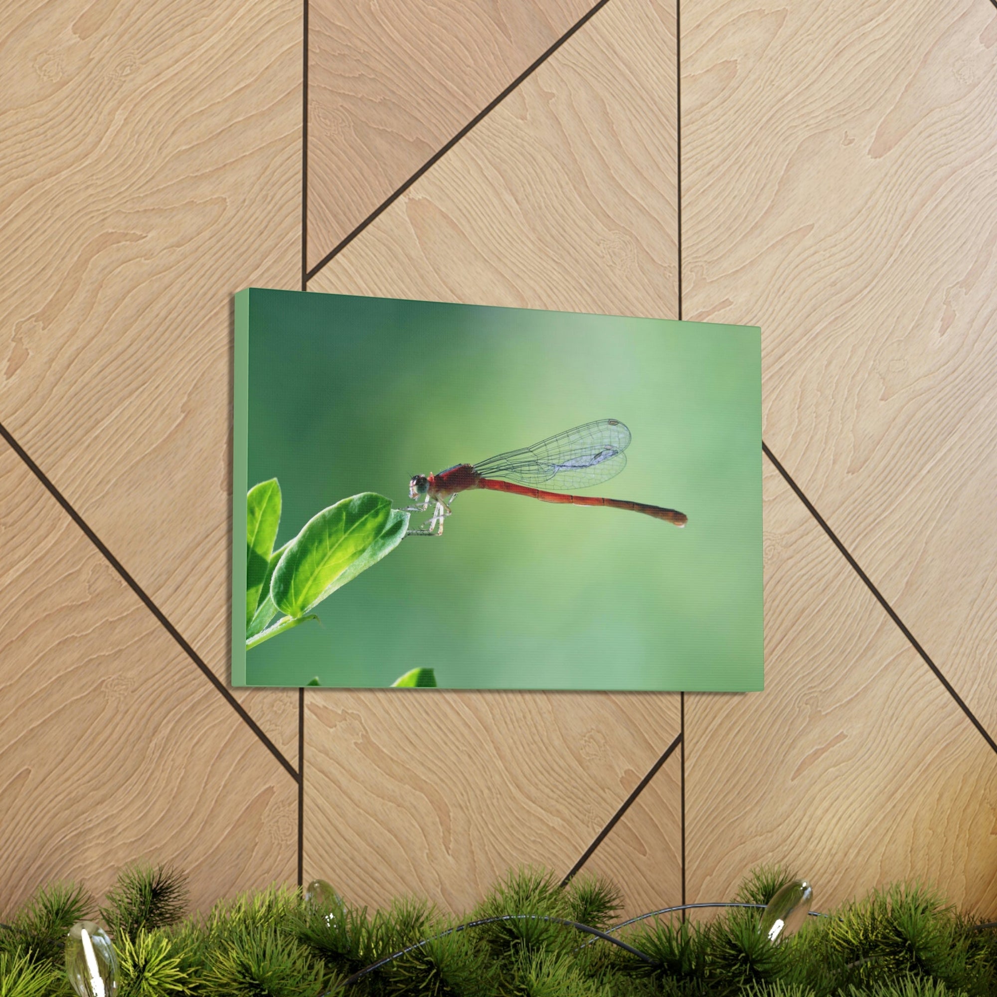 Scripture Walls Majestic Damselfly Perched on a Green Leaf Art Print Animal Wall Art Wildlife Canvas Prints Wall Art Ready to Hang Unframed-Express Your Love Gifts