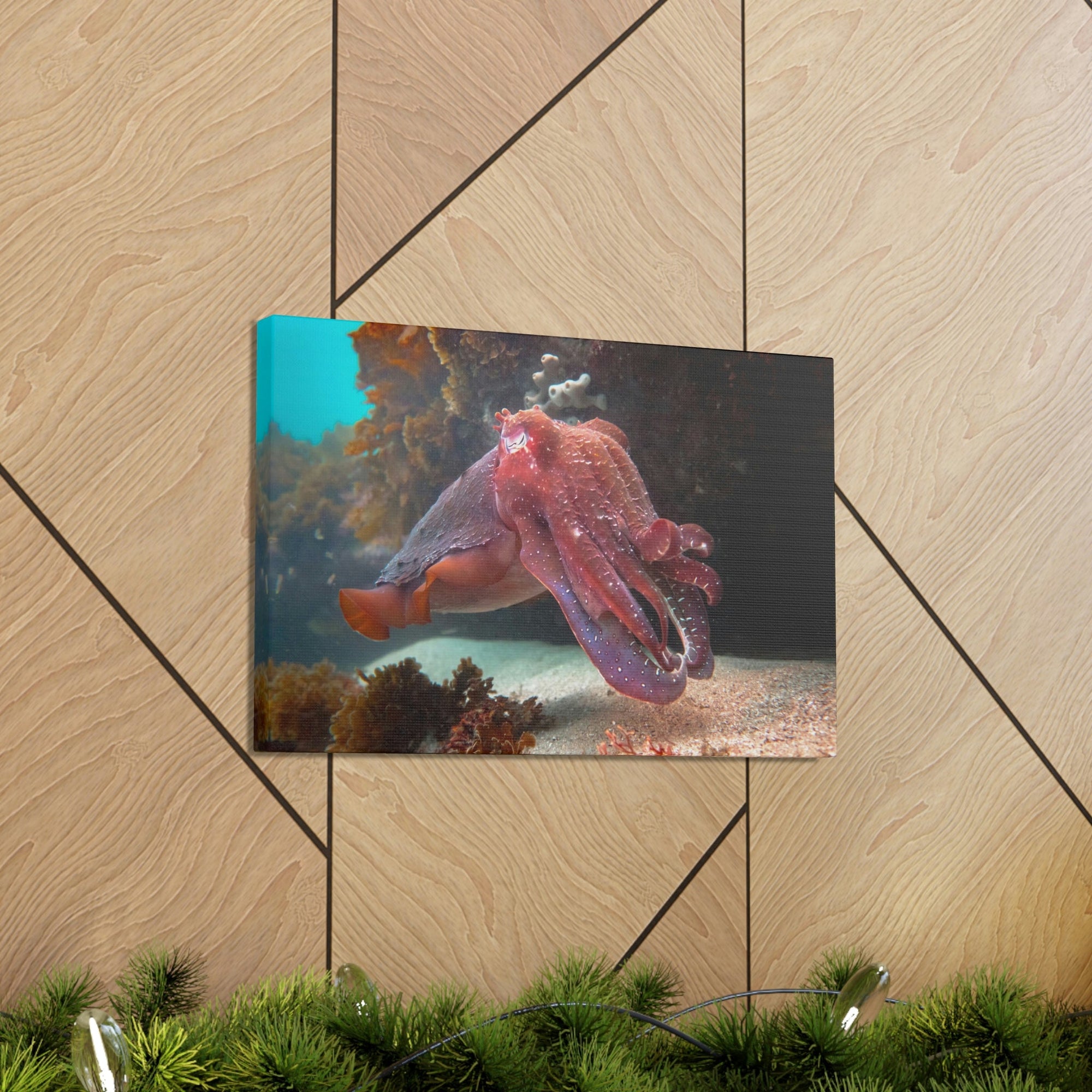 Scripture Walls Majestic Giant Cuttlefish Floating in the Ocean Print Animal Wall Art Wildlife Canvas Prints Wall Art Ready to Hang Unframed-Express Your Love Gifts