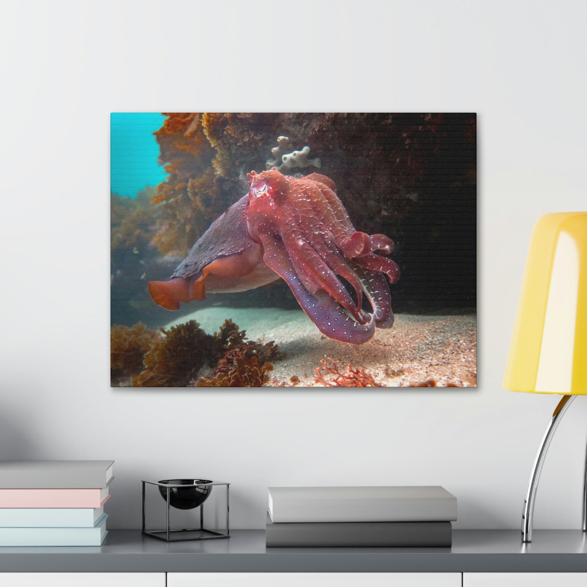 Scripture Walls Majestic Giant Cuttlefish Floating in the Ocean Print Animal Wall Art Wildlife Canvas Prints Wall Art Ready to Hang Unframed-Express Your Love Gifts