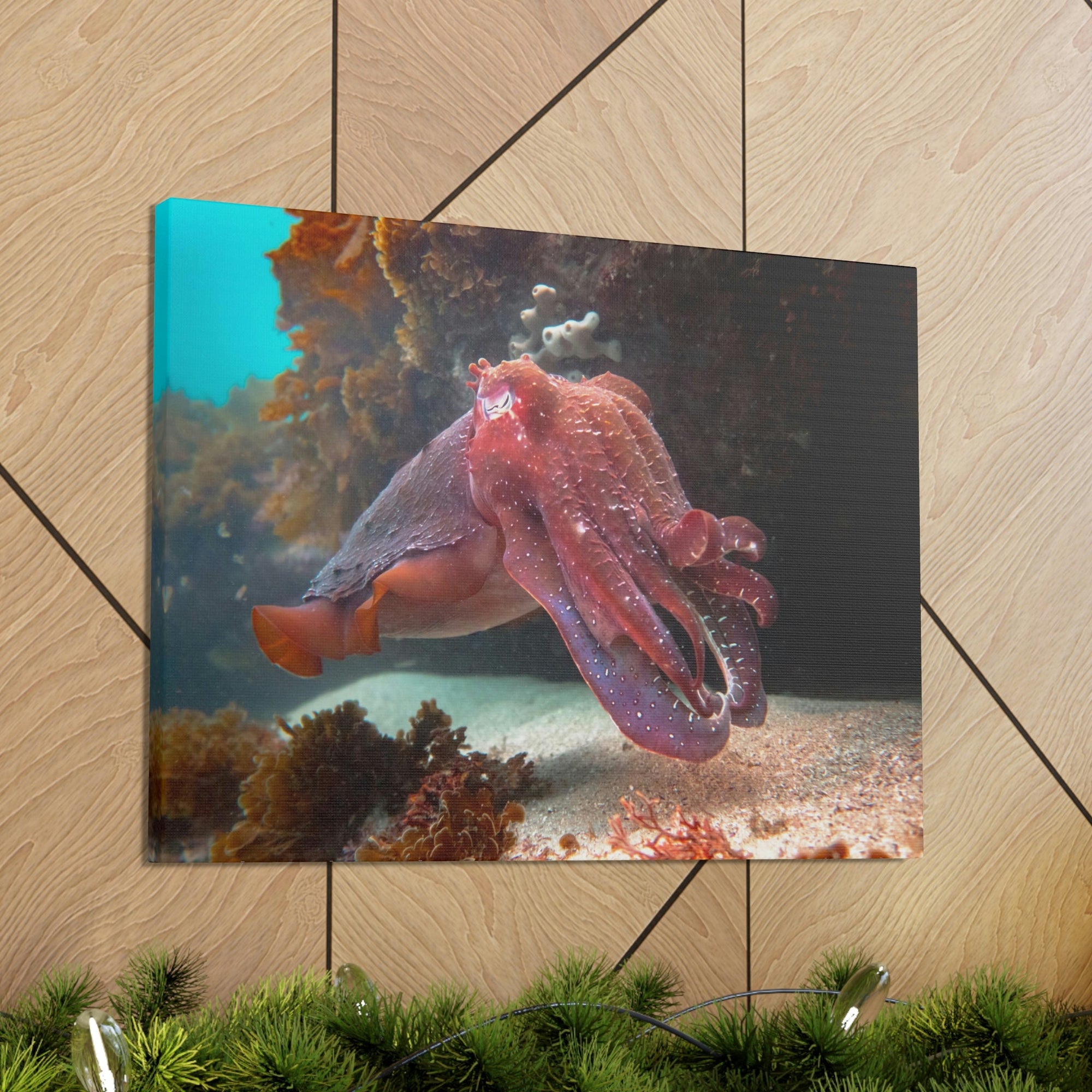 Scripture Walls Majestic Giant Cuttlefish Floating in the Ocean Print Animal Wall Art Wildlife Canvas Prints Wall Art Ready to Hang Unframed-Express Your Love Gifts