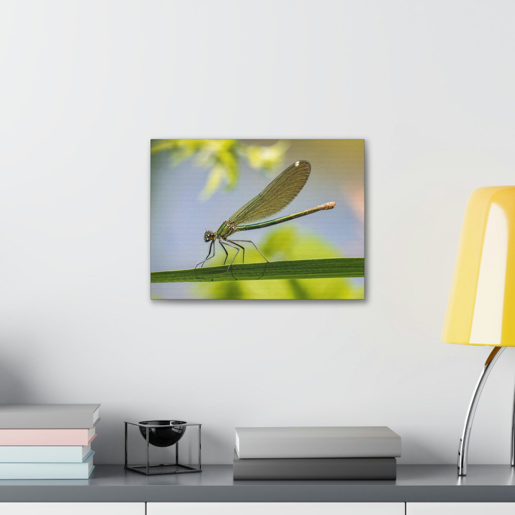 Scripture Walls Majestic Golden Damsel Close Up View Print Animal Wall Art Wildlife Canvas Prints Wall Art Ready to Hang Unframed-Express Your Love Gifts