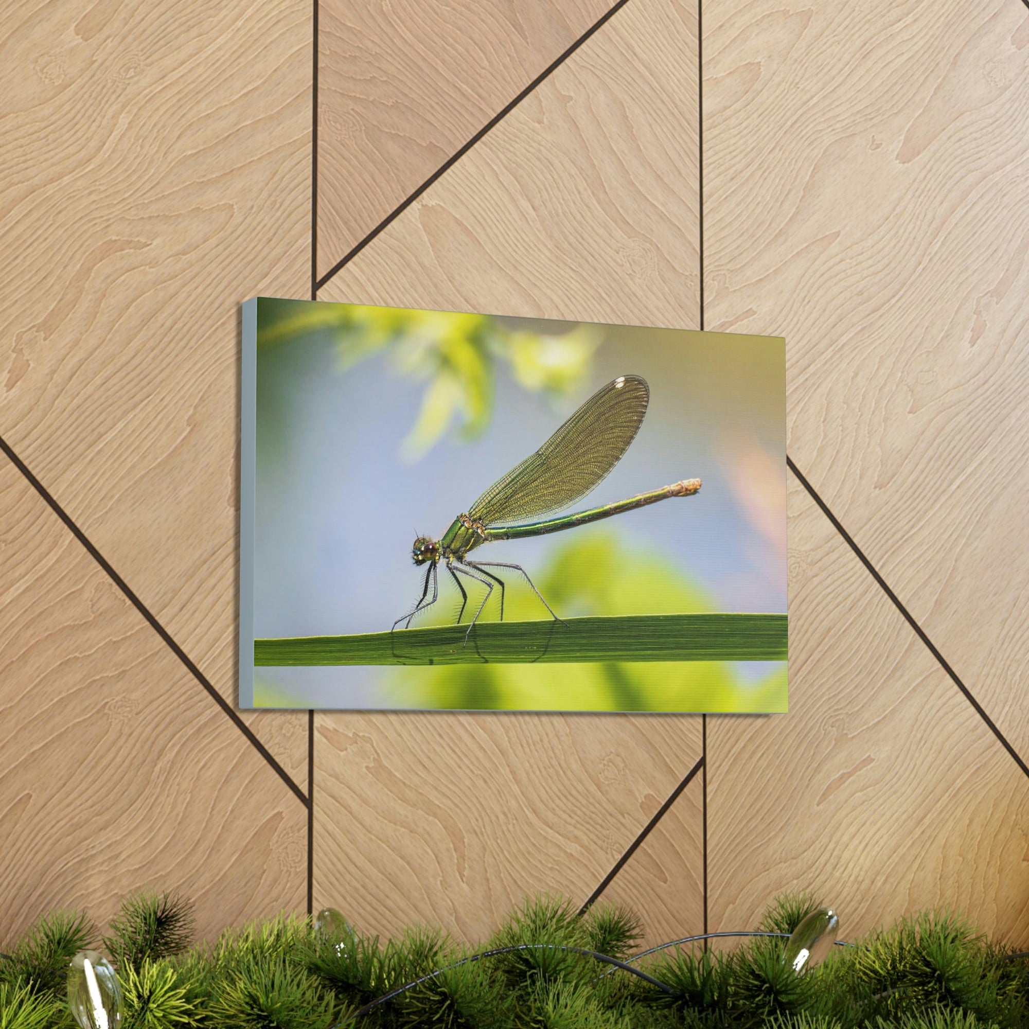 Scripture Walls Majestic Golden Damsel Close Up View Print Animal Wall Art Wildlife Canvas Prints Wall Art Ready to Hang Unframed-Express Your Love Gifts