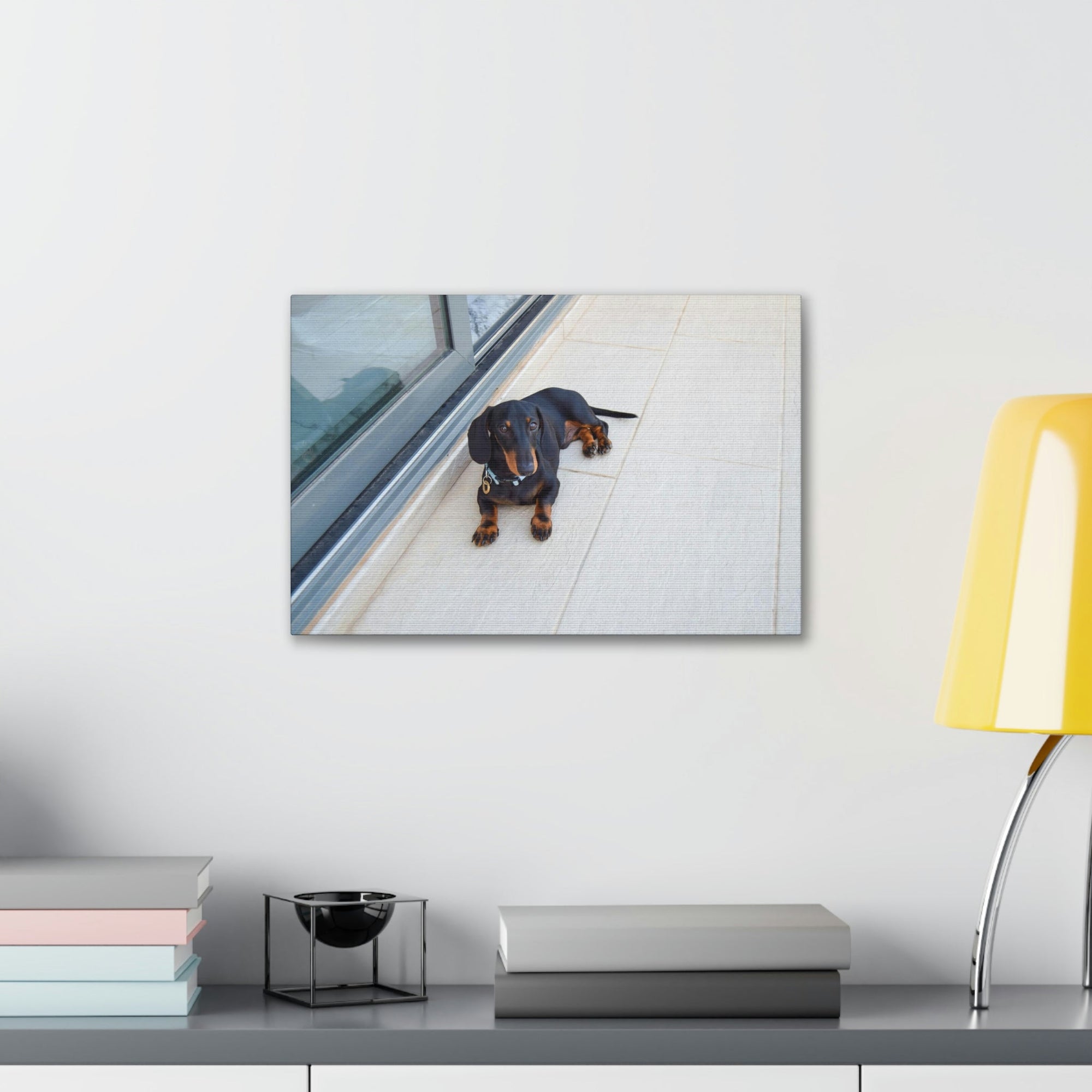 Scripture Walls Majestic Pedigree Dacshund Laying Down Print Animal Wall Art Wildlife Canvas Prints Wall Art Ready to Hang Unframed-Express Your Love Gifts