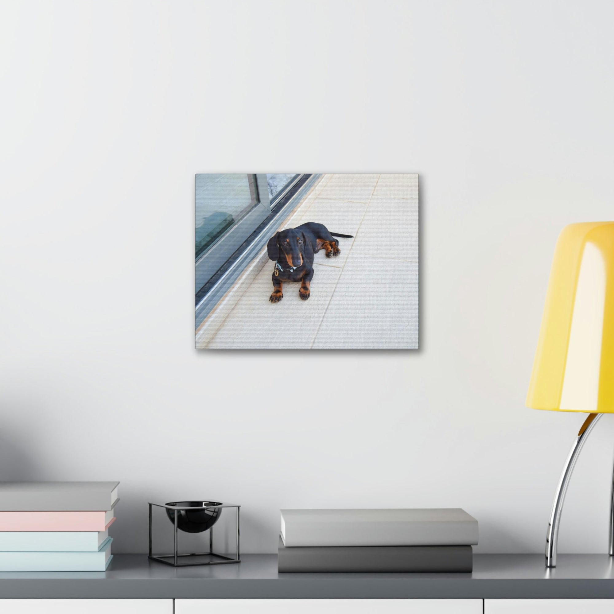 Scripture Walls Majestic Pedigree Dacshund Laying Down Print Animal Wall Art Wildlife Canvas Prints Wall Art Ready to Hang Unframed-Express Your Love Gifts