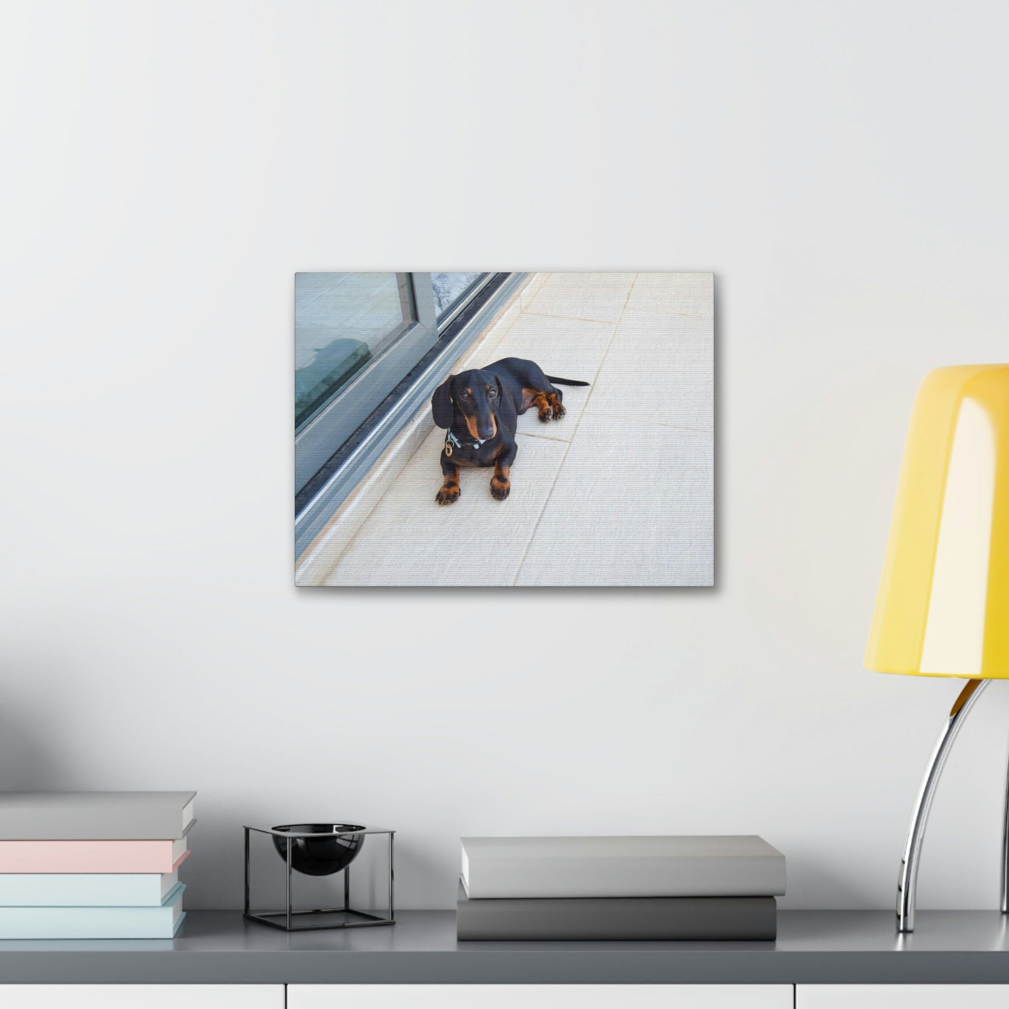 Scripture Walls Majestic Pedigree Dacshund Laying Down Print Animal Wall Art Wildlife Canvas Prints Wall Art Ready to Hang Unframed-Express Your Love Gifts