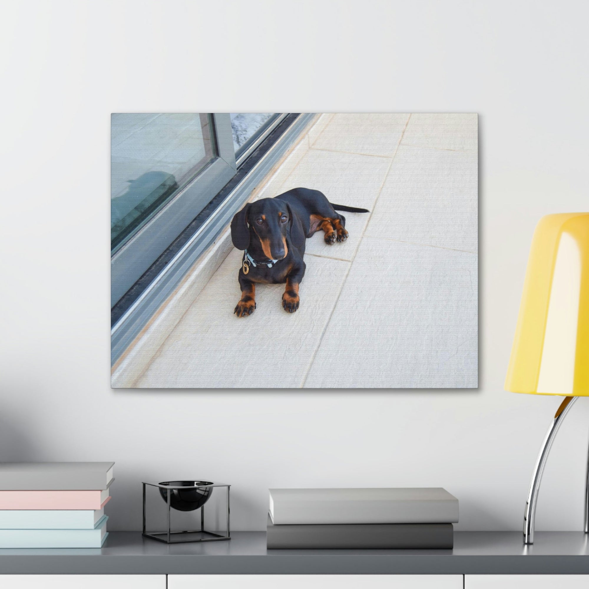 Scripture Walls Majestic Pedigree Dacshund Laying Down Print Animal Wall Art Wildlife Canvas Prints Wall Art Ready to Hang Unframed-Express Your Love Gifts