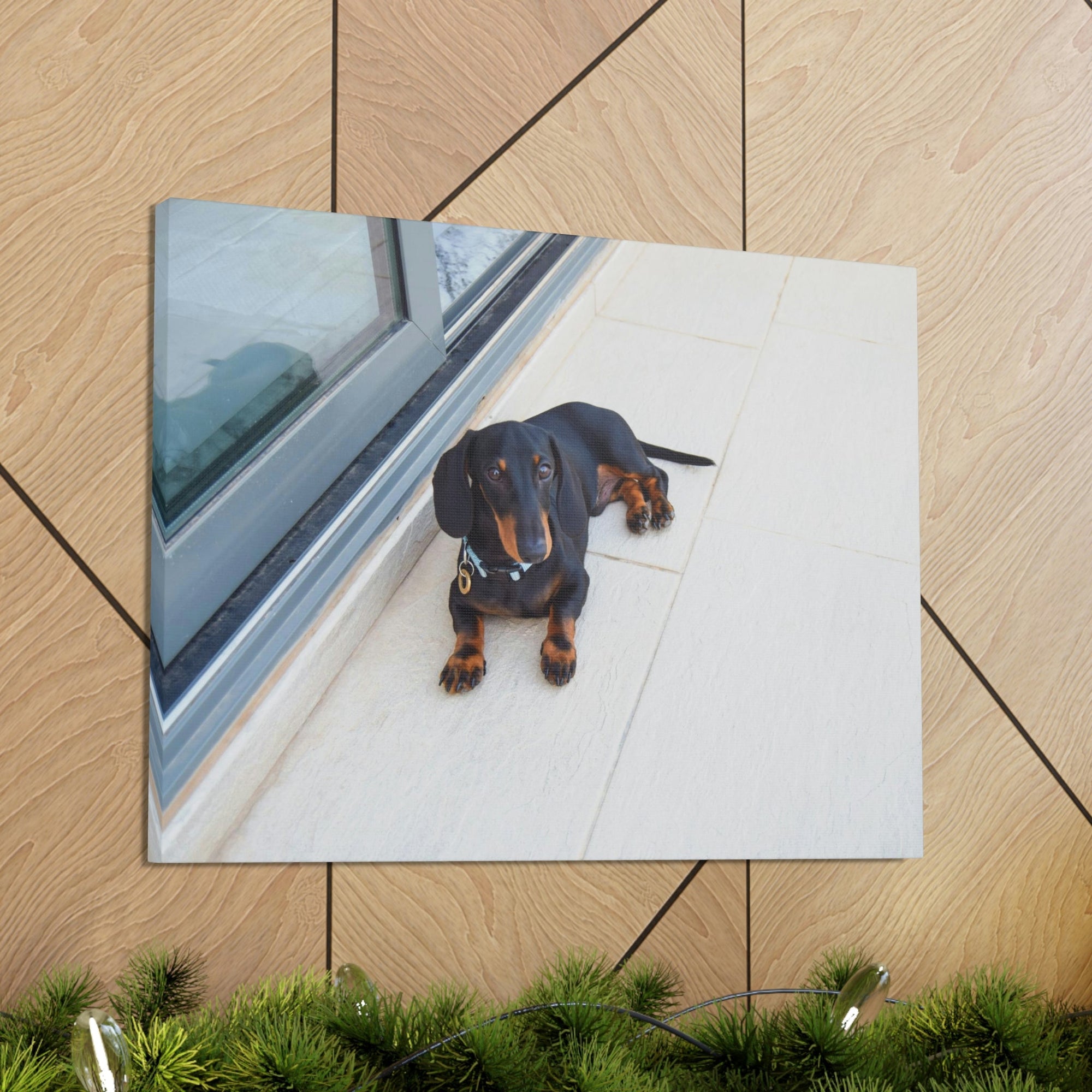 Scripture Walls Majestic Pedigree Dacshund Laying Down Print Animal Wall Art Wildlife Canvas Prints Wall Art Ready to Hang Unframed-Express Your Love Gifts