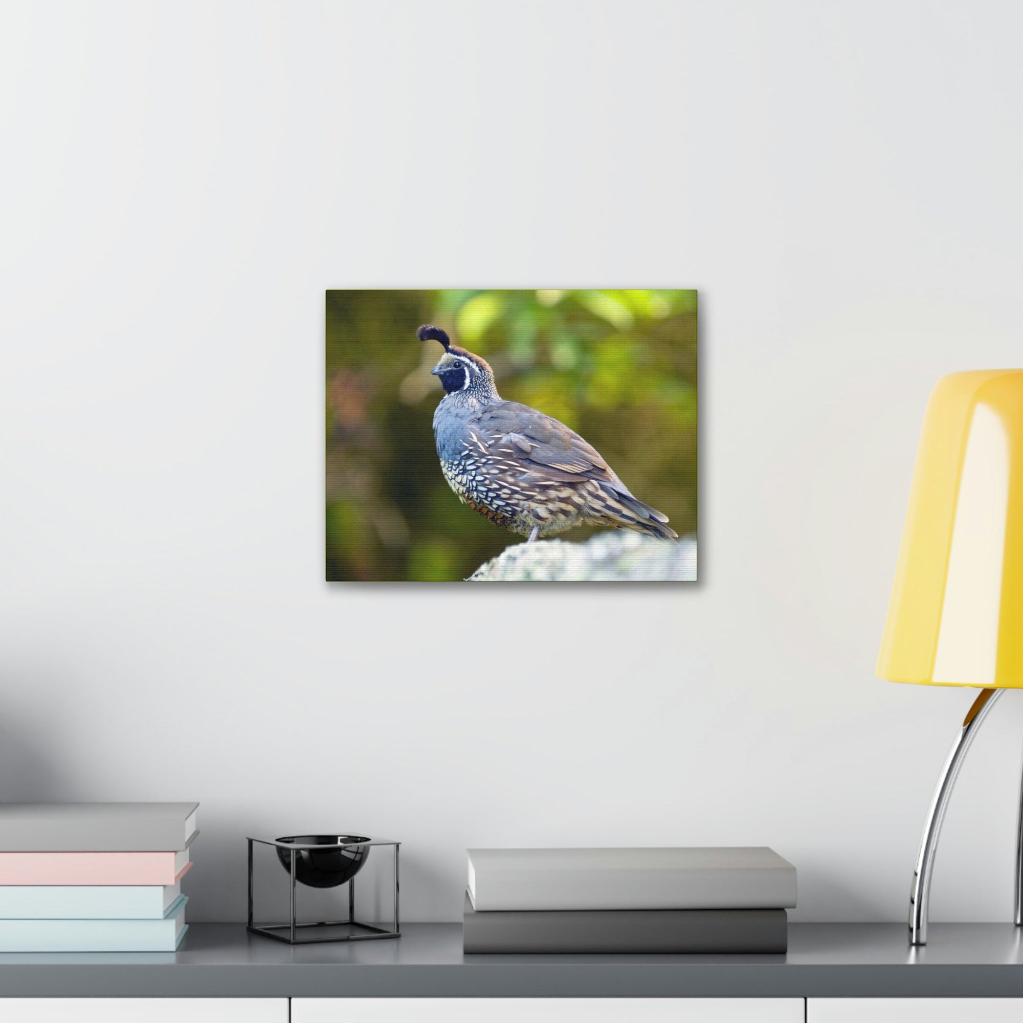 Scripture Walls Majestic Quail Art Majestic Quail Print Animal Wall Art Wildlife Canvas Prints Wall Art Ready to Hang Unframed-Express Your Love Gifts