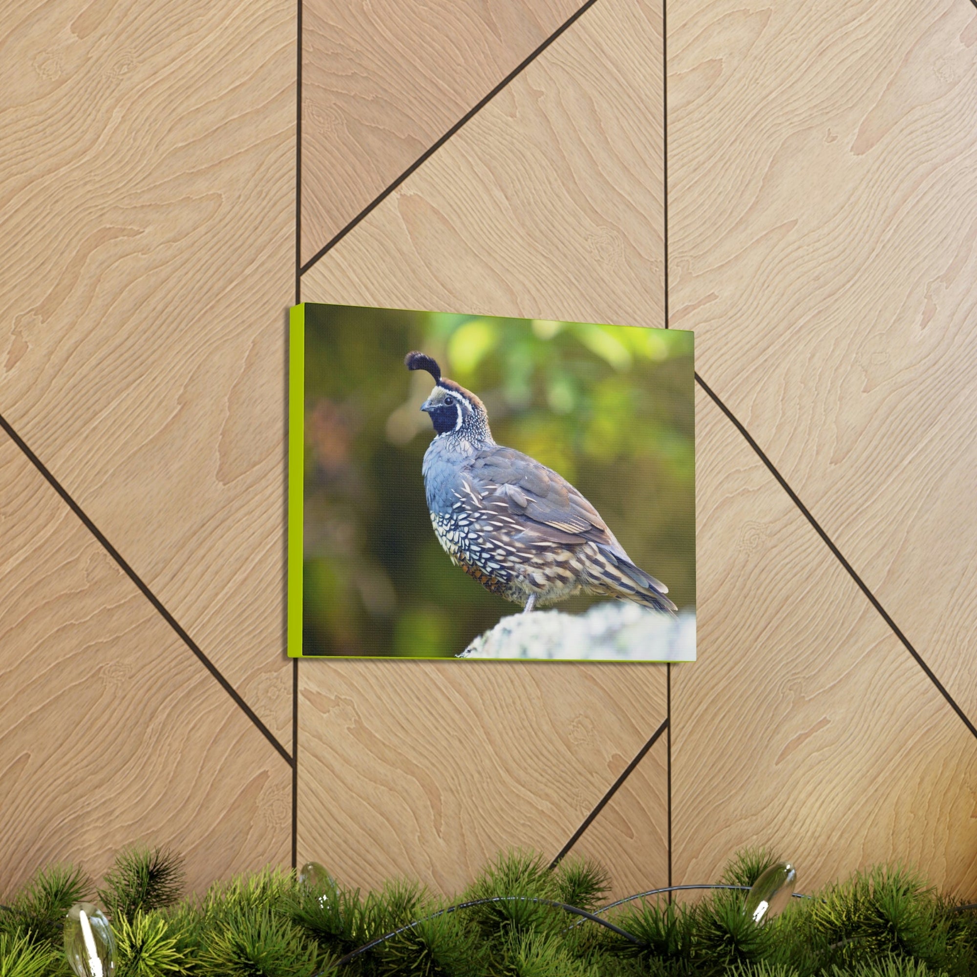 Scripture Walls Majestic Quail Art Majestic Quail Print Animal Wall Art Wildlife Canvas Prints Wall Art Ready to Hang Unframed-Express Your Love Gifts