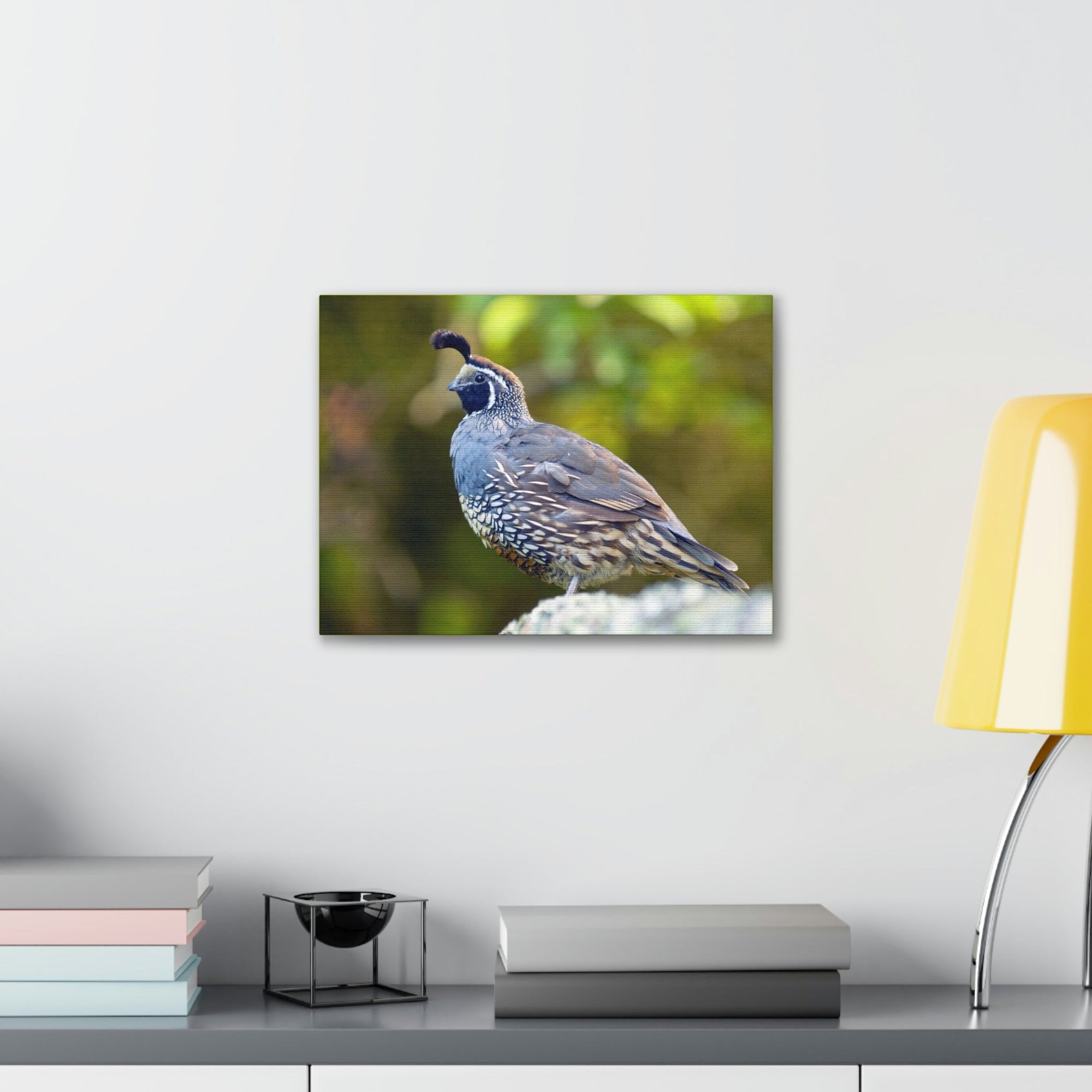 Scripture Walls Majestic Quail Art Majestic Quail Print Animal Wall Art Wildlife Canvas Prints Wall Art Ready to Hang Unframed-Express Your Love Gifts