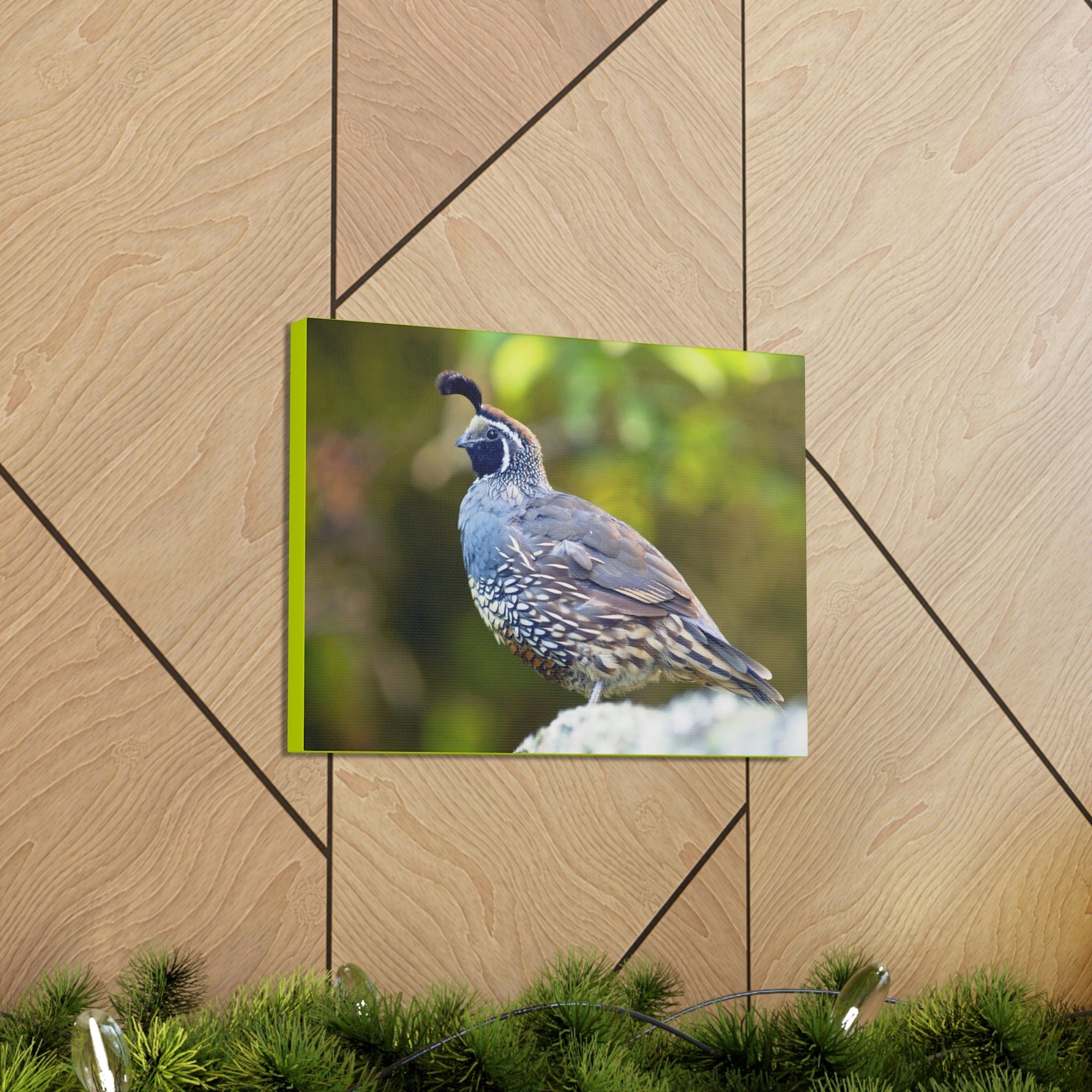 Scripture Walls Majestic Quail Art Majestic Quail Print Animal Wall Art Wildlife Canvas Prints Wall Art Ready to Hang Unframed-Express Your Love Gifts