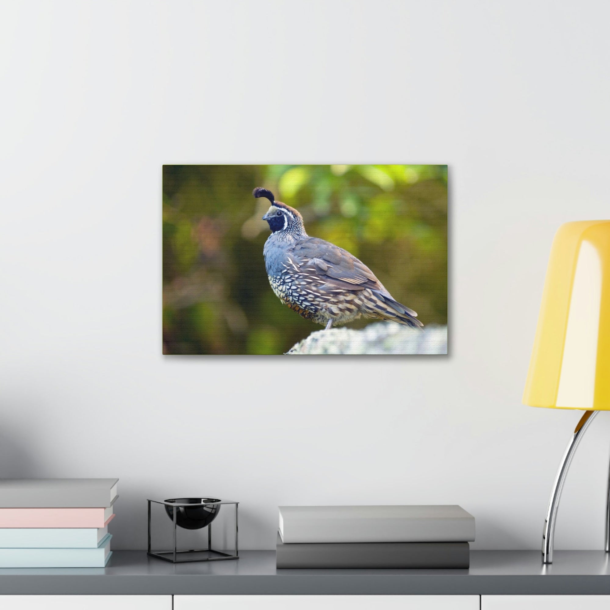 Scripture Walls Majestic Quail Art Majestic Quail Print Animal Wall Art Wildlife Canvas Prints Wall Art Ready to Hang Unframed-Express Your Love Gifts