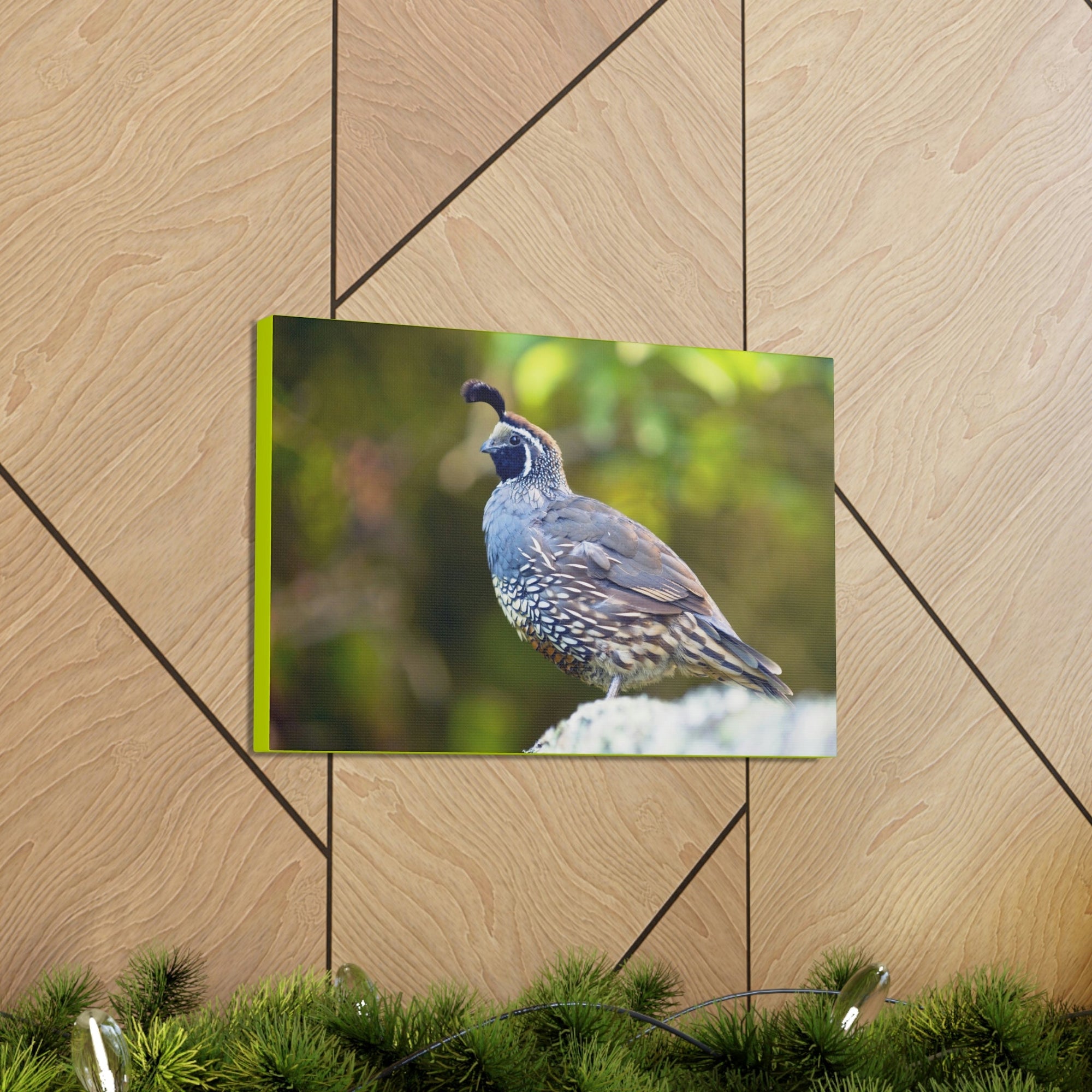 Scripture Walls Majestic Quail Art Majestic Quail Print Animal Wall Art Wildlife Canvas Prints Wall Art Ready to Hang Unframed-Express Your Love Gifts