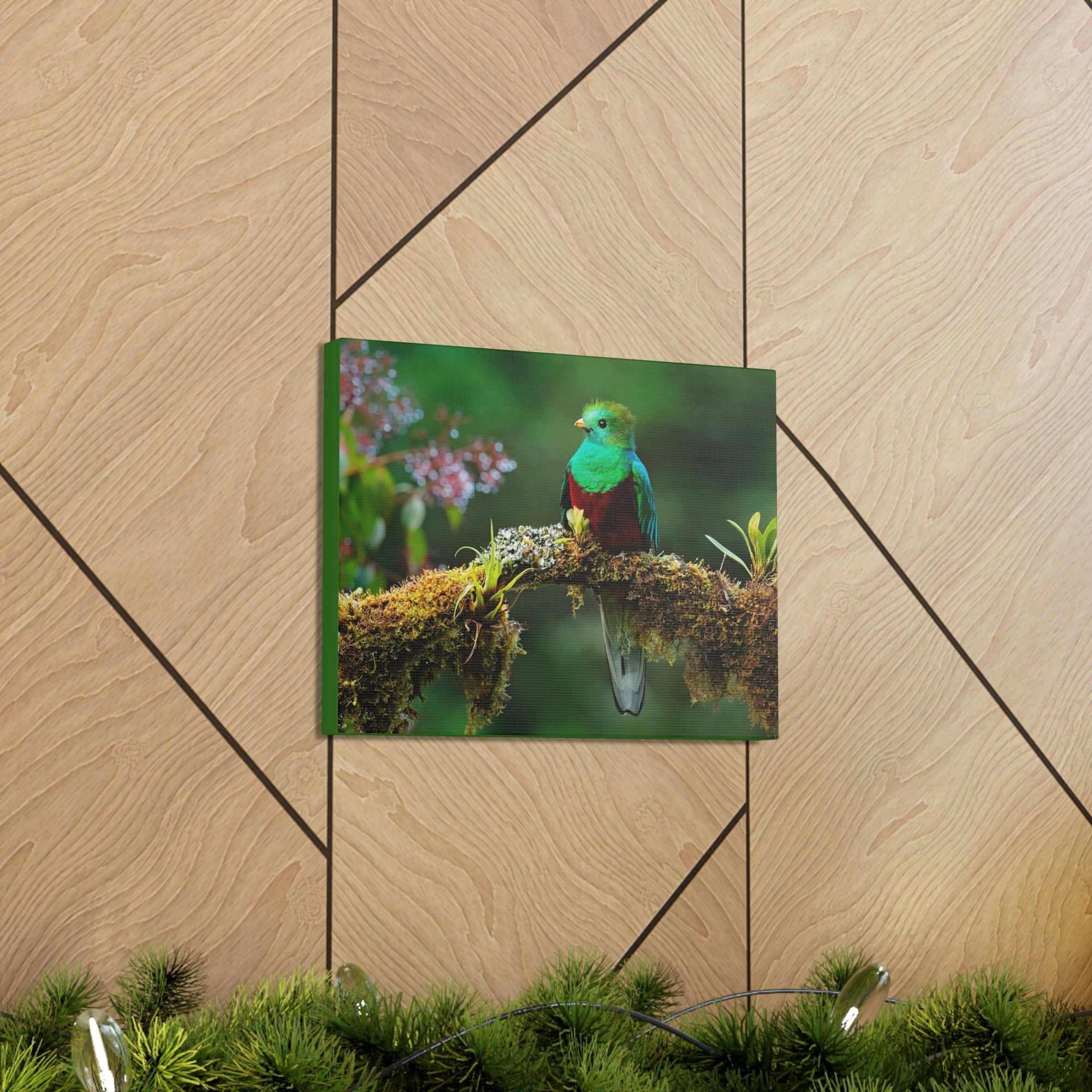 Scripture Walls Majestic Quetzal Art Majestic Quetzal Print Animal Wall Art Wildlife Canvas Prints Wall Art Ready to Hang Unframed-Express Your Love Gifts