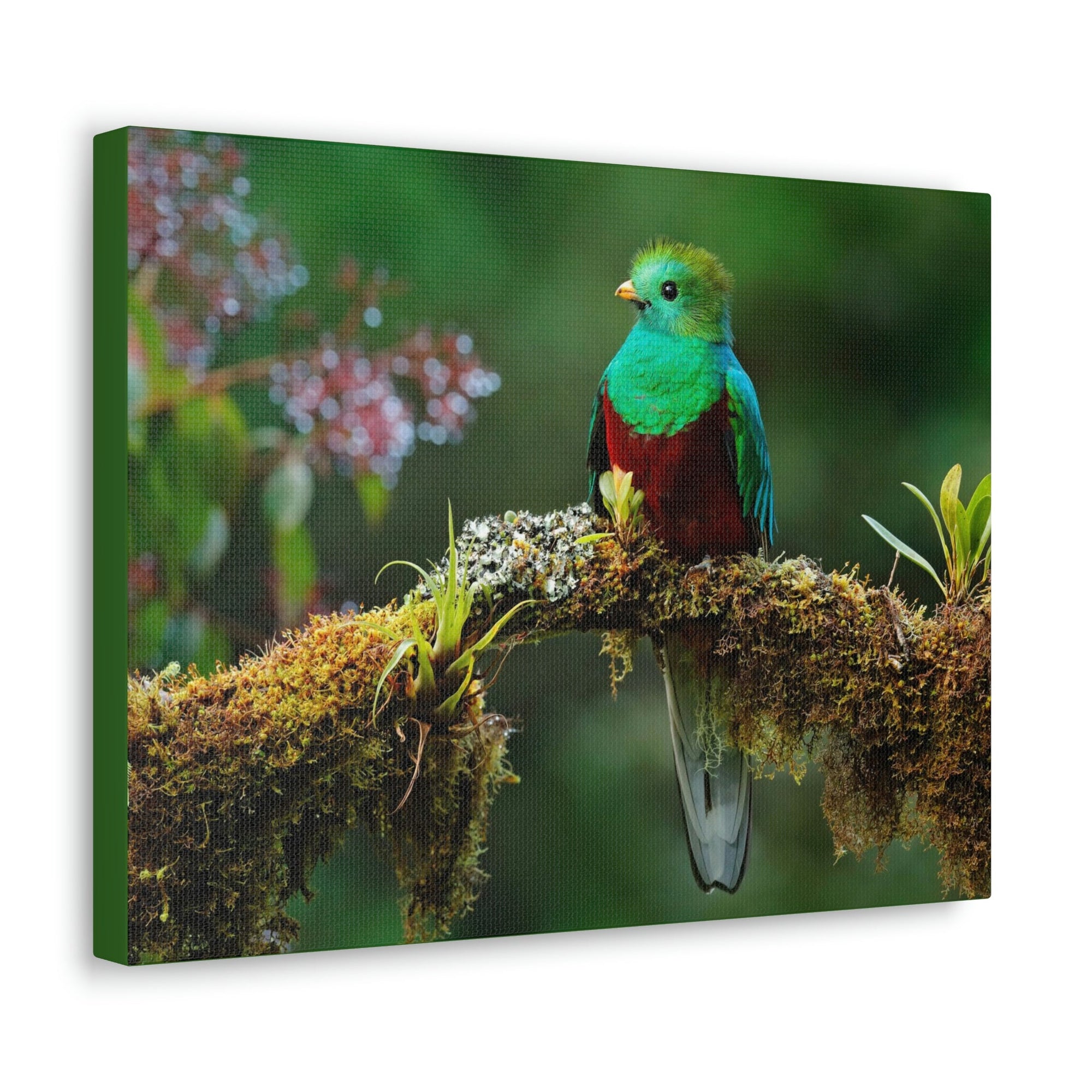 Scripture Walls Majestic Quetzal Art Majestic Quetzal Print Animal Wall Art Wildlife Canvas Prints Wall Art Ready to Hang Unframed-Express Your Love Gifts