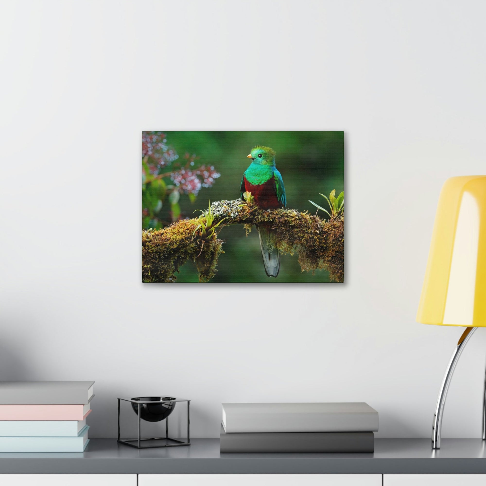 Scripture Walls Majestic Quetzal Art Majestic Quetzal Print Animal Wall Art Wildlife Canvas Prints Wall Art Ready to Hang Unframed-Express Your Love Gifts