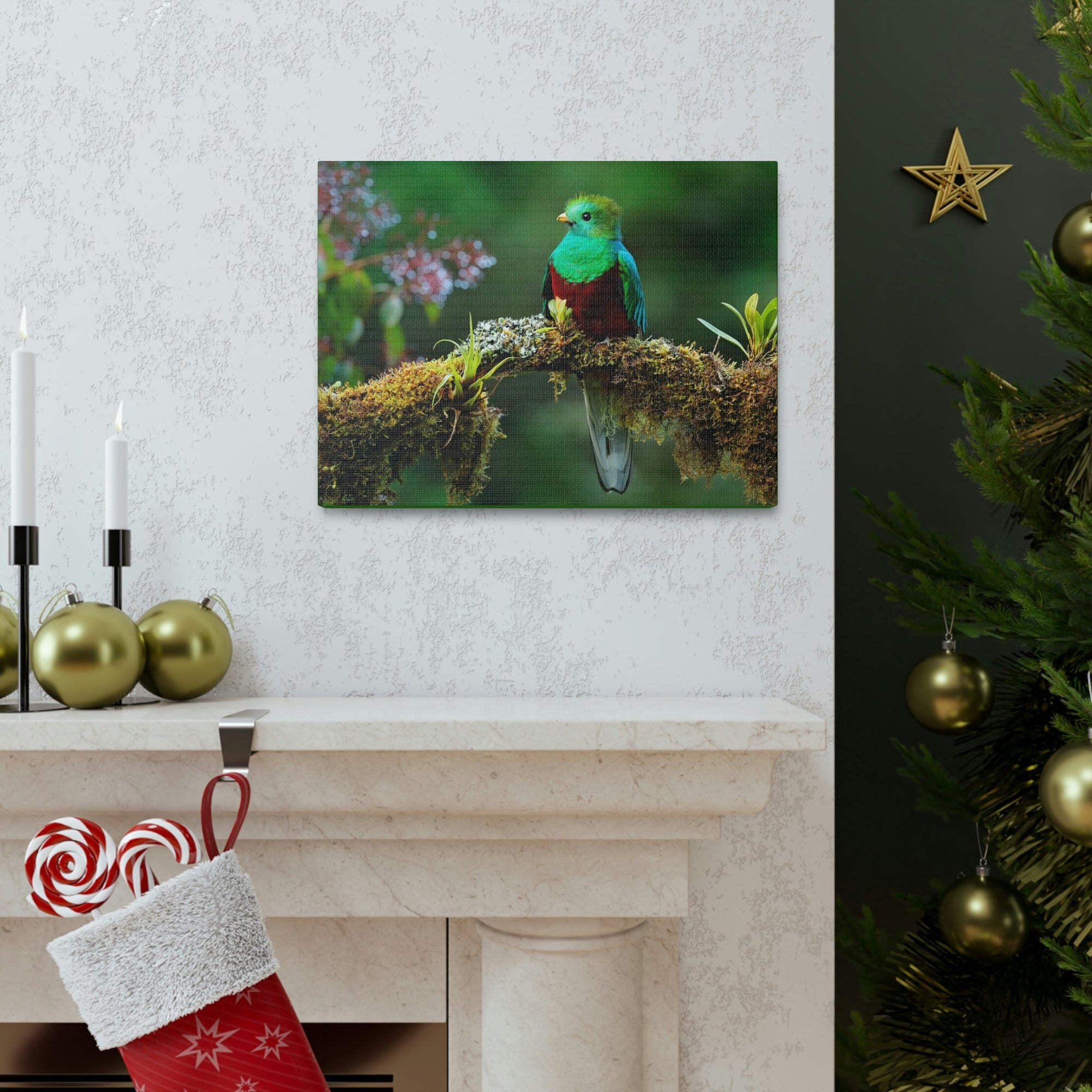 Scripture Walls Majestic Quetzal Art Majestic Quetzal Print Animal Wall Art Wildlife Canvas Prints Wall Art Ready to Hang Unframed-Express Your Love Gifts