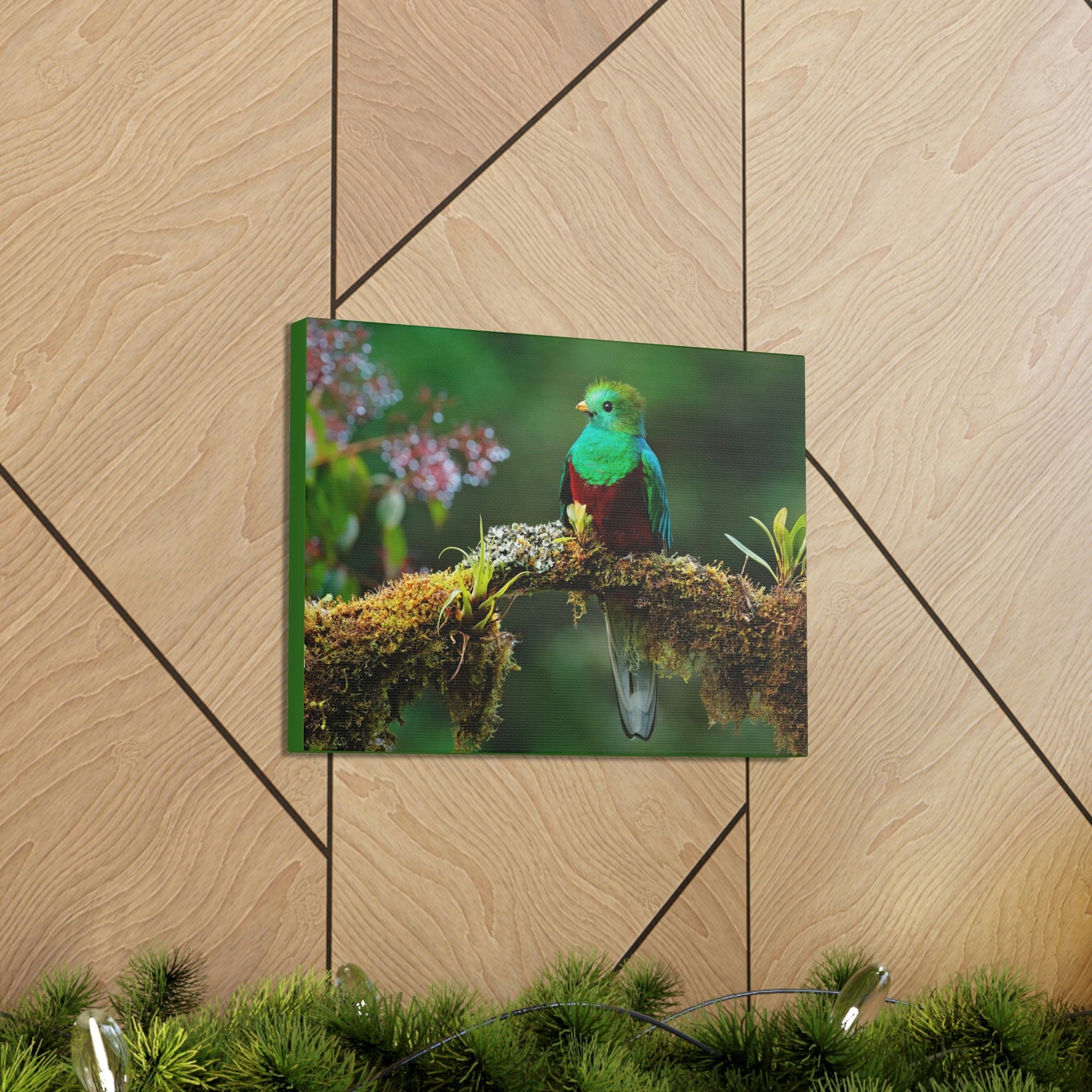 Scripture Walls Majestic Quetzal Art Majestic Quetzal Print Animal Wall Art Wildlife Canvas Prints Wall Art Ready to Hang Unframed-Express Your Love Gifts