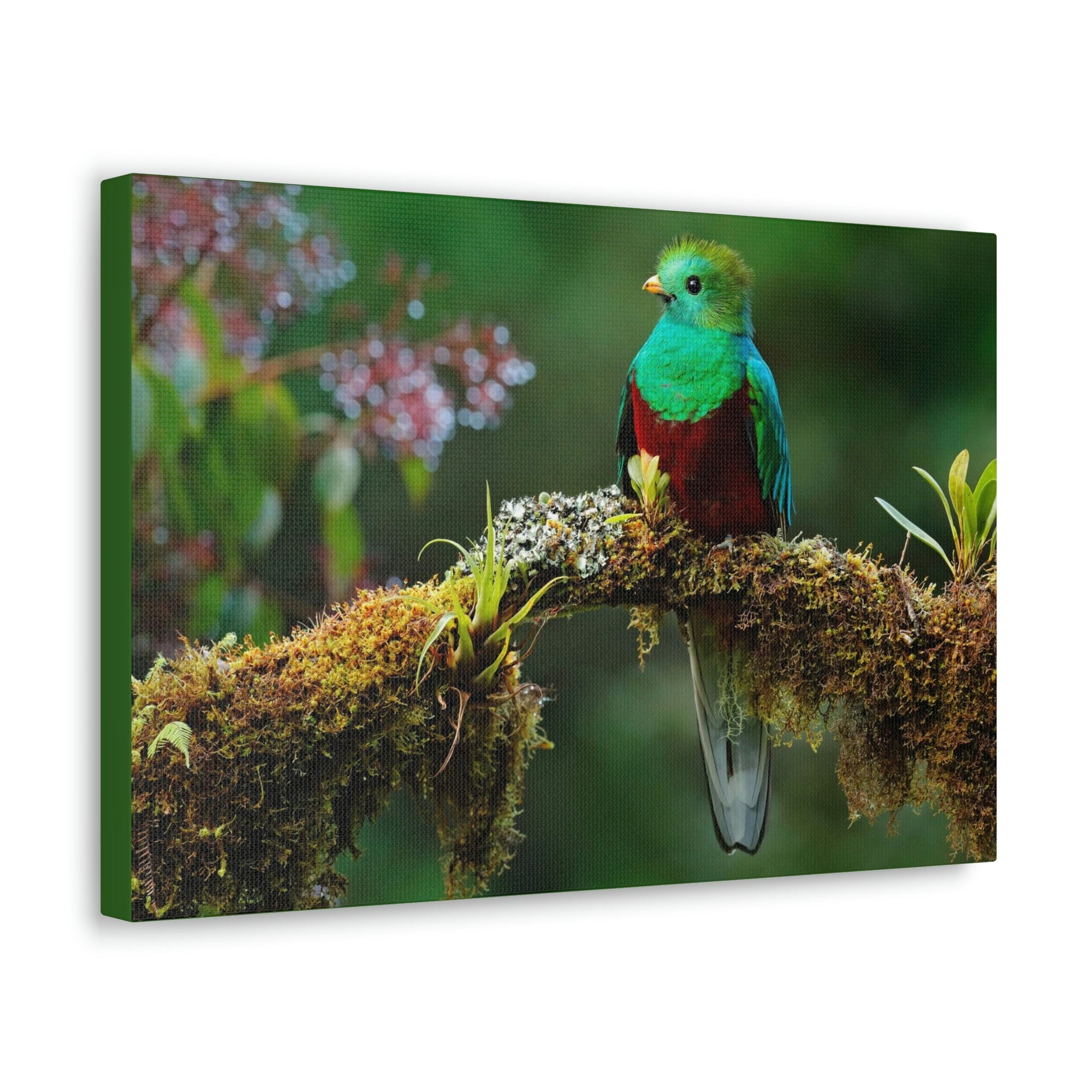 Scripture Walls Majestic Quetzal Art Majestic Quetzal Print Animal Wall Art Wildlife Canvas Prints Wall Art Ready to Hang Unframed-Express Your Love Gifts