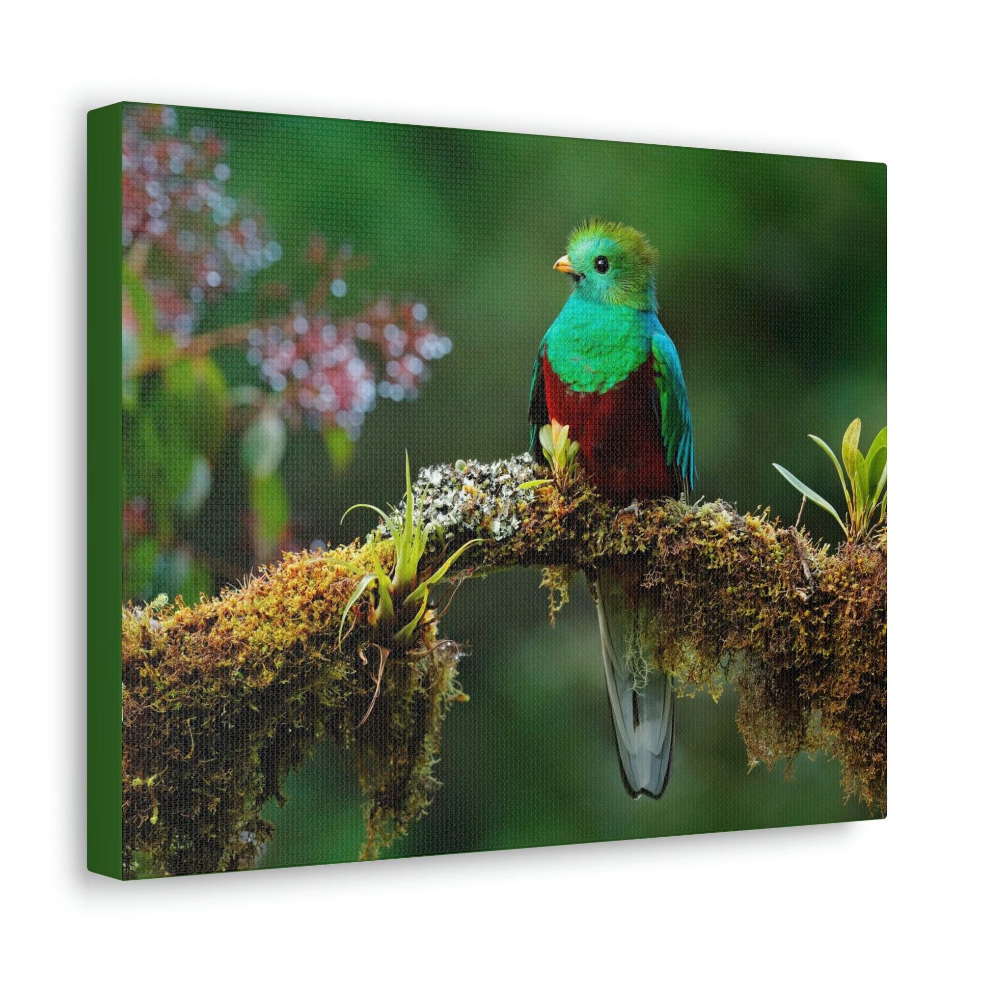 Scripture Walls Majestic Quetzal Art Majestic Quetzal Print Animal Wall Art Wildlife Canvas Prints Wall Art Ready to Hang Unframed-Express Your Love Gifts