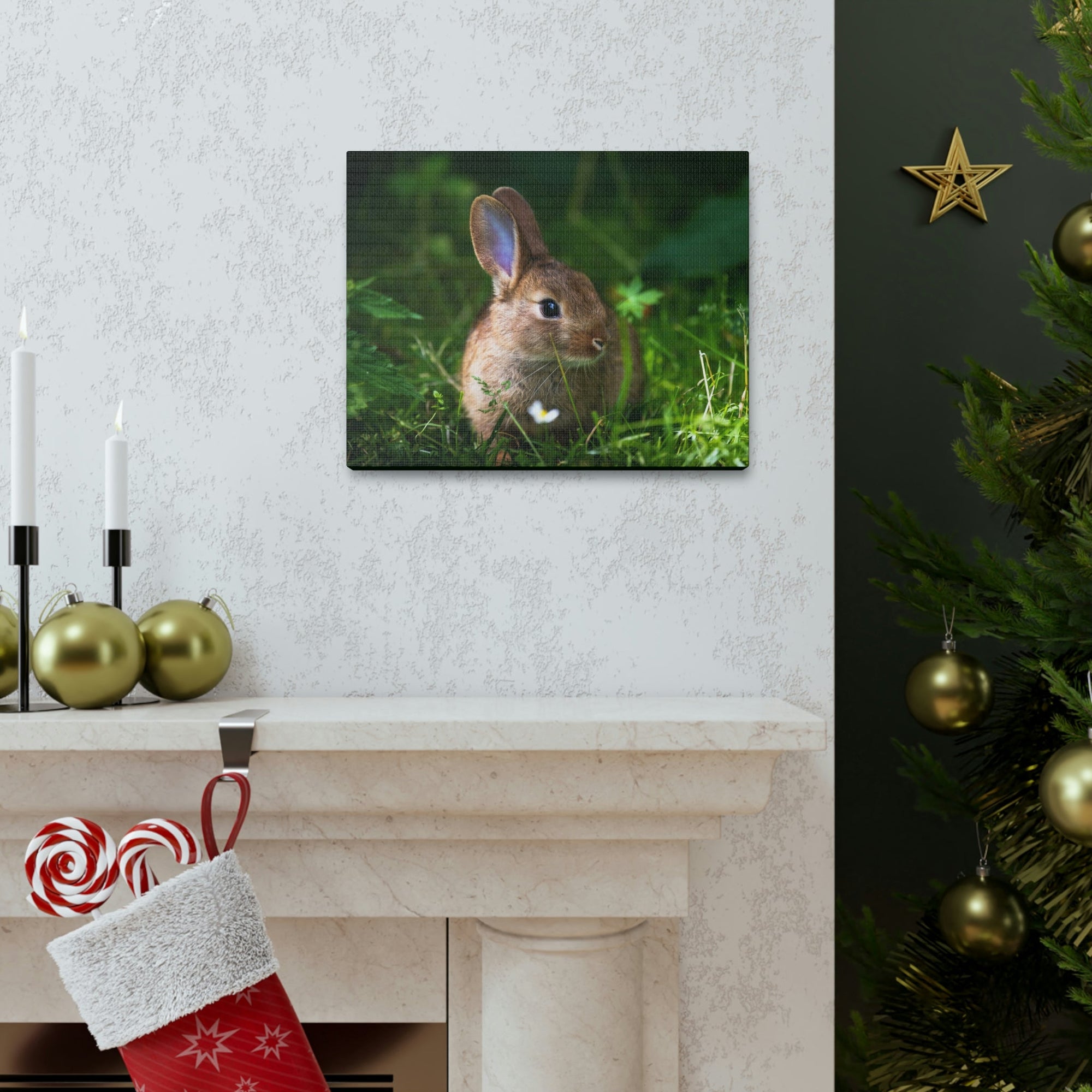 Scripture Walls Majestic Rabbit Art Majestic Rabbit Print Animal Wall Art Wildlife Canvas Prints Wall Art Ready to Hang Unframed-Express Your Love Gifts