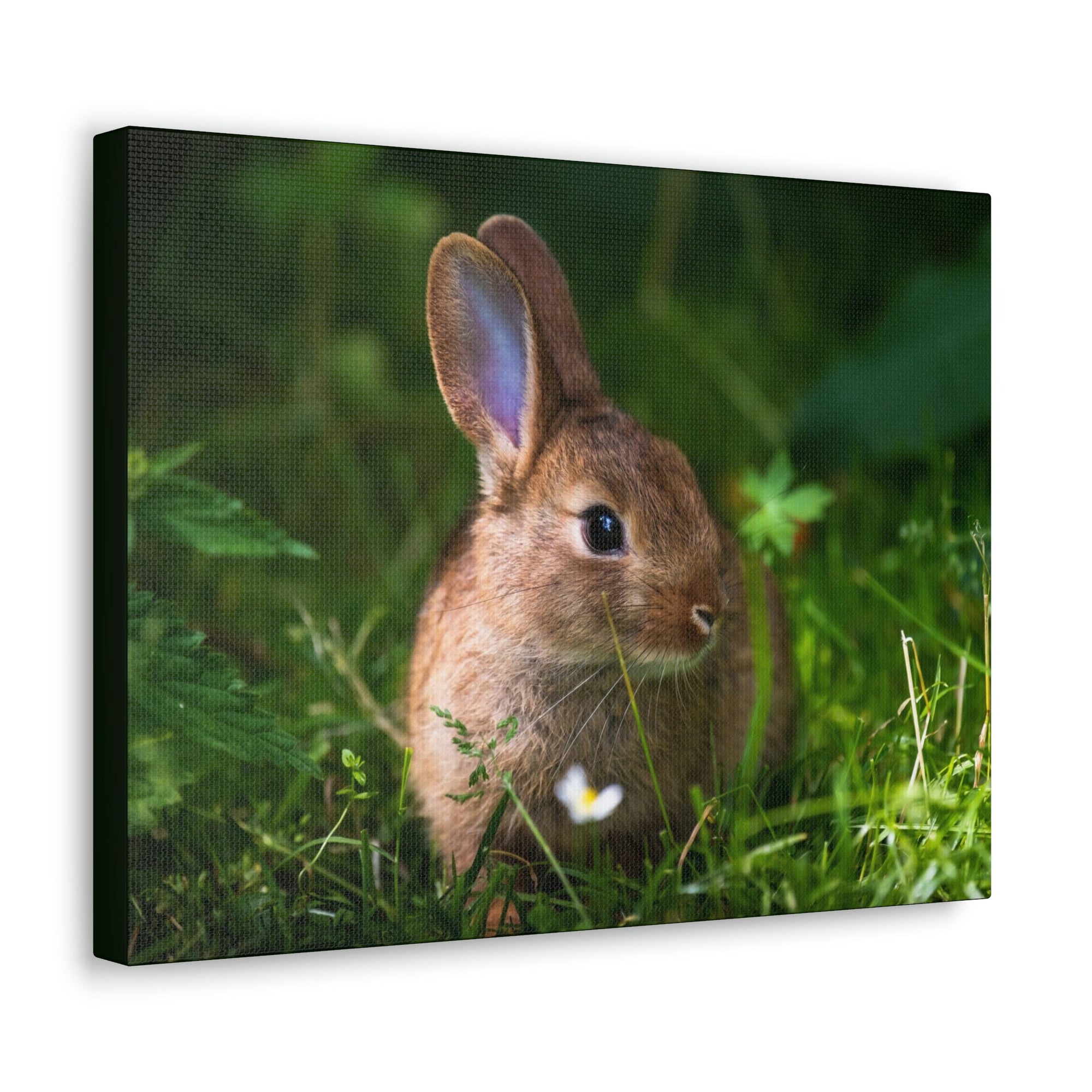 Scripture Walls Majestic Rabbit Art Majestic Rabbit Print Animal Wall Art Wildlife Canvas Prints Wall Art Ready to Hang Unframed-Express Your Love Gifts