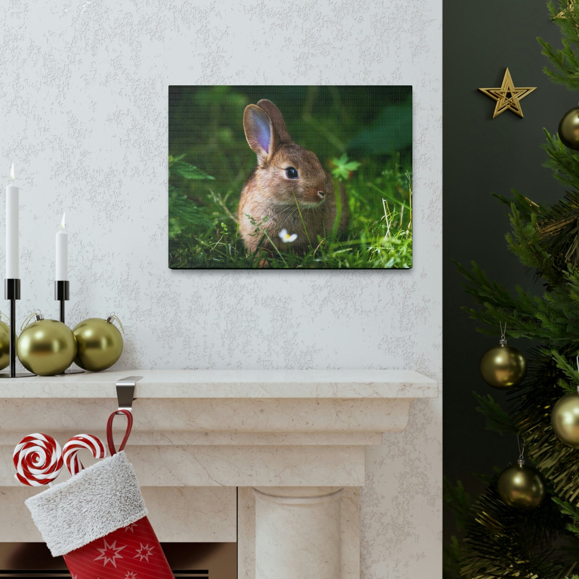 Scripture Walls Majestic Rabbit Art Majestic Rabbit Print Animal Wall Art Wildlife Canvas Prints Wall Art Ready to Hang Unframed-Express Your Love Gifts