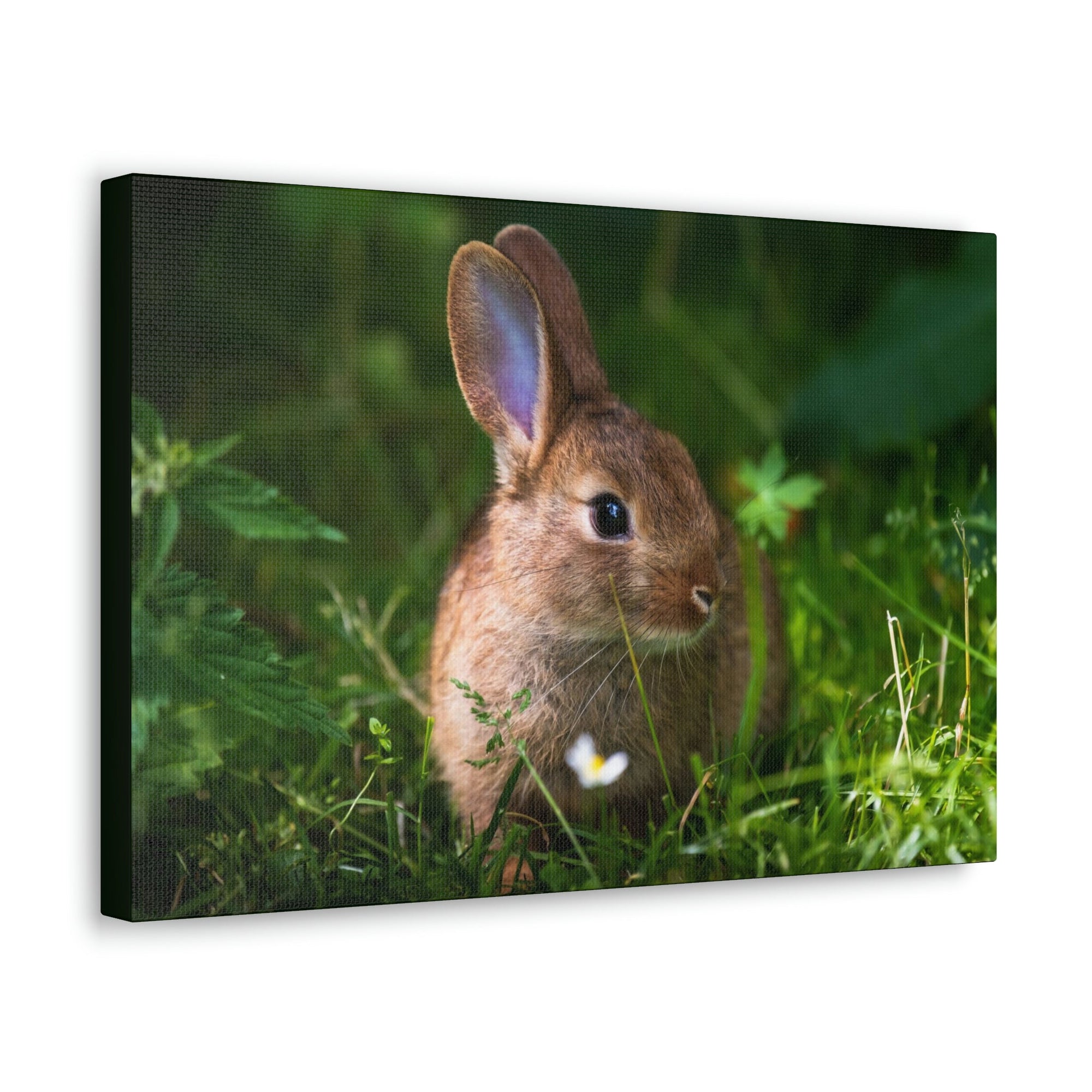 Scripture Walls Majestic Rabbit Art Majestic Rabbit Print Animal Wall Art Wildlife Canvas Prints Wall Art Ready to Hang Unframed-Express Your Love Gifts