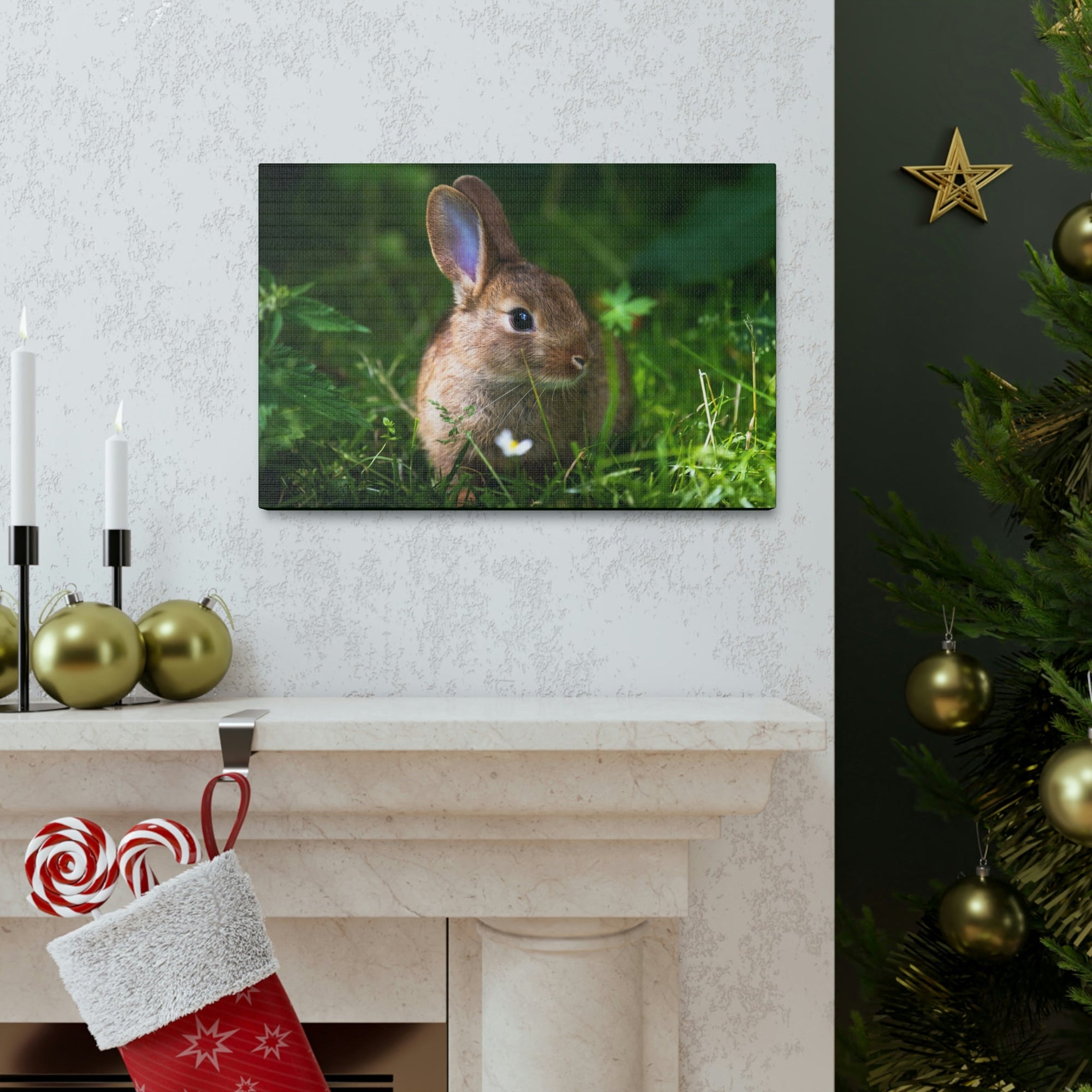 Scripture Walls Majestic Rabbit Art Majestic Rabbit Print Animal Wall Art Wildlife Canvas Prints Wall Art Ready to Hang Unframed-Express Your Love Gifts