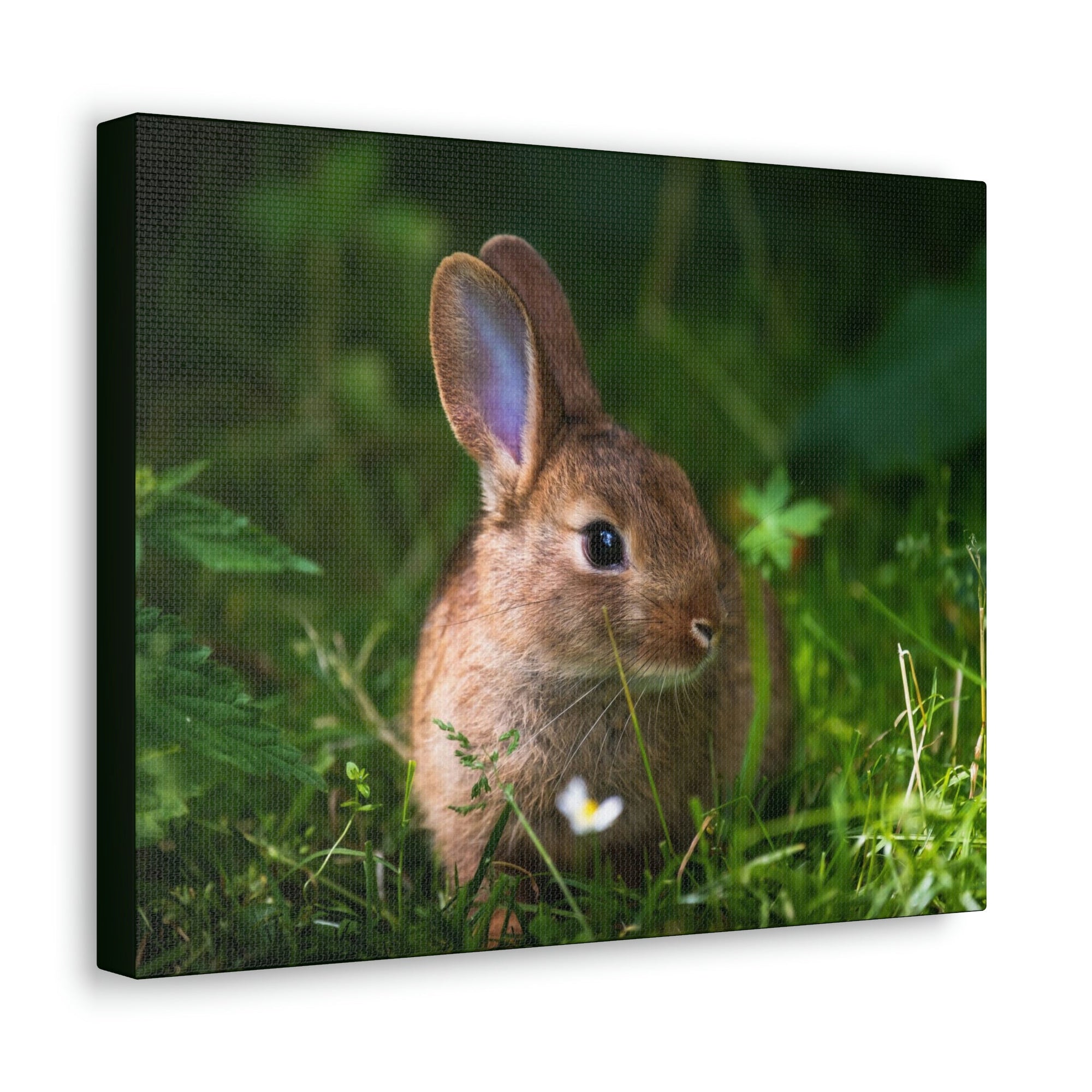 Scripture Walls Majestic Rabbit Art Majestic Rabbit Print Animal Wall Art Wildlife Canvas Prints Wall Art Ready to Hang Unframed-Express Your Love Gifts