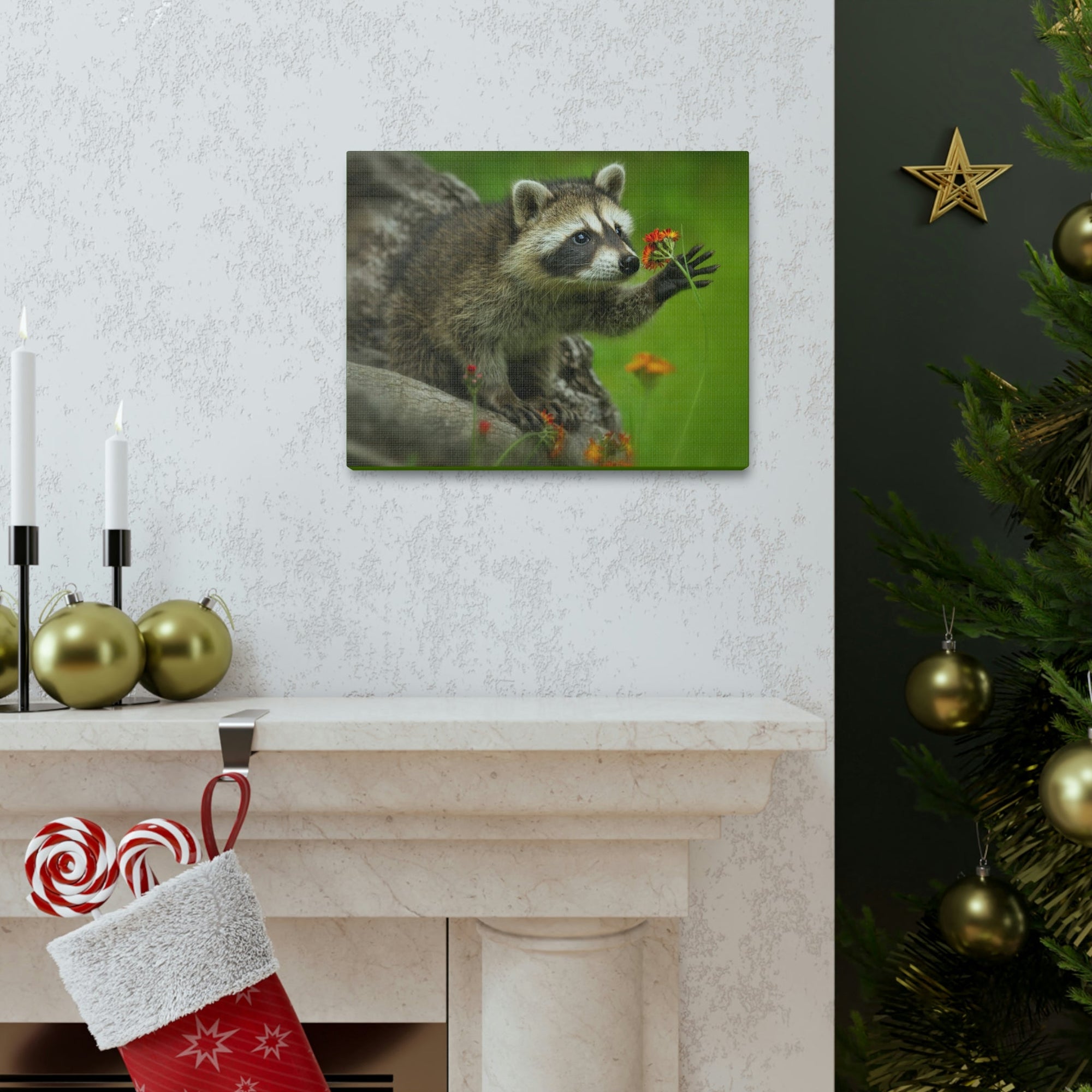 Scripture Walls Majestic Raccoon Art Majestic Raccoon Print Animal Wall Art Wildlife Canvas Prints Wall Art Ready to Hang Unframed-Express Your Love Gifts