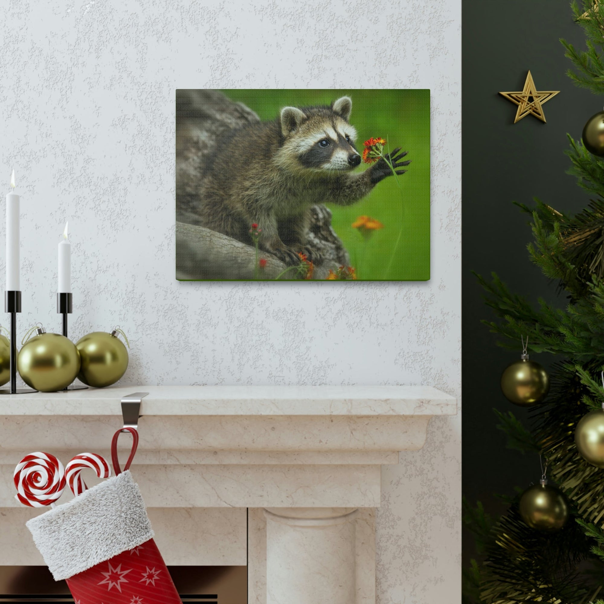 Scripture Walls Majestic Raccoon Art Majestic Raccoon Print Animal Wall Art Wildlife Canvas Prints Wall Art Ready to Hang Unframed-Express Your Love Gifts