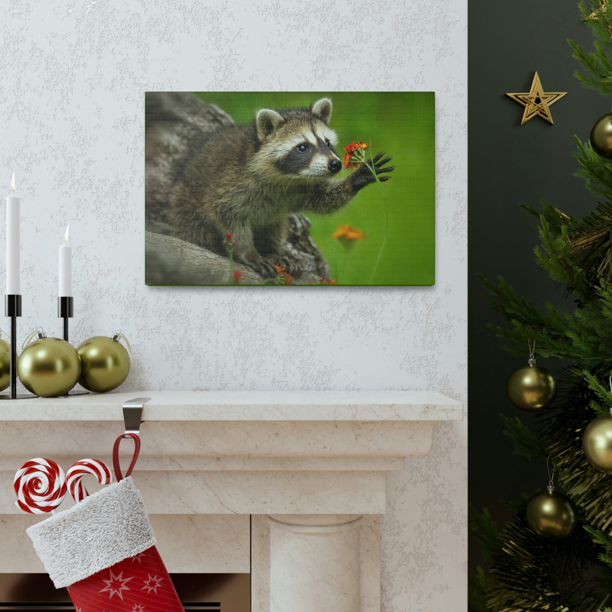 Scripture Walls Majestic Raccoon Art Majestic Raccoon Print Animal Wall Art Wildlife Canvas Prints Wall Art Ready to Hang Unframed-Express Your Love Gifts