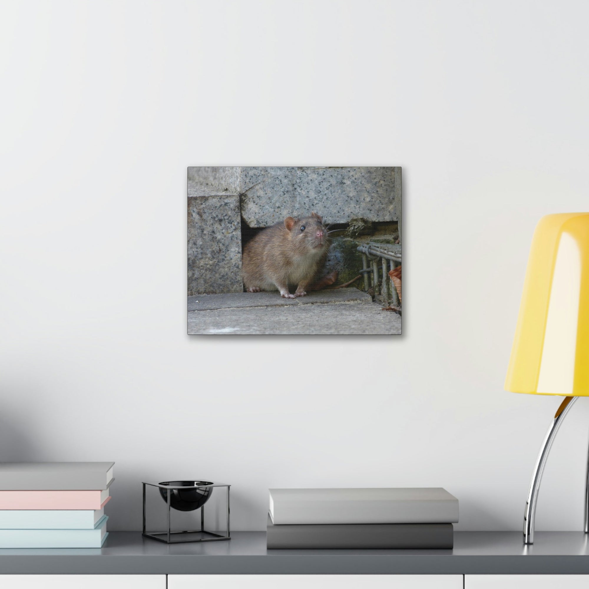 Scripture Walls Majestic Rat Art Majestic Rat Print Animal Wall Art Wildlife Canvas Prints Wall Art Ready to Hang Unframed-Express Your Love Gifts