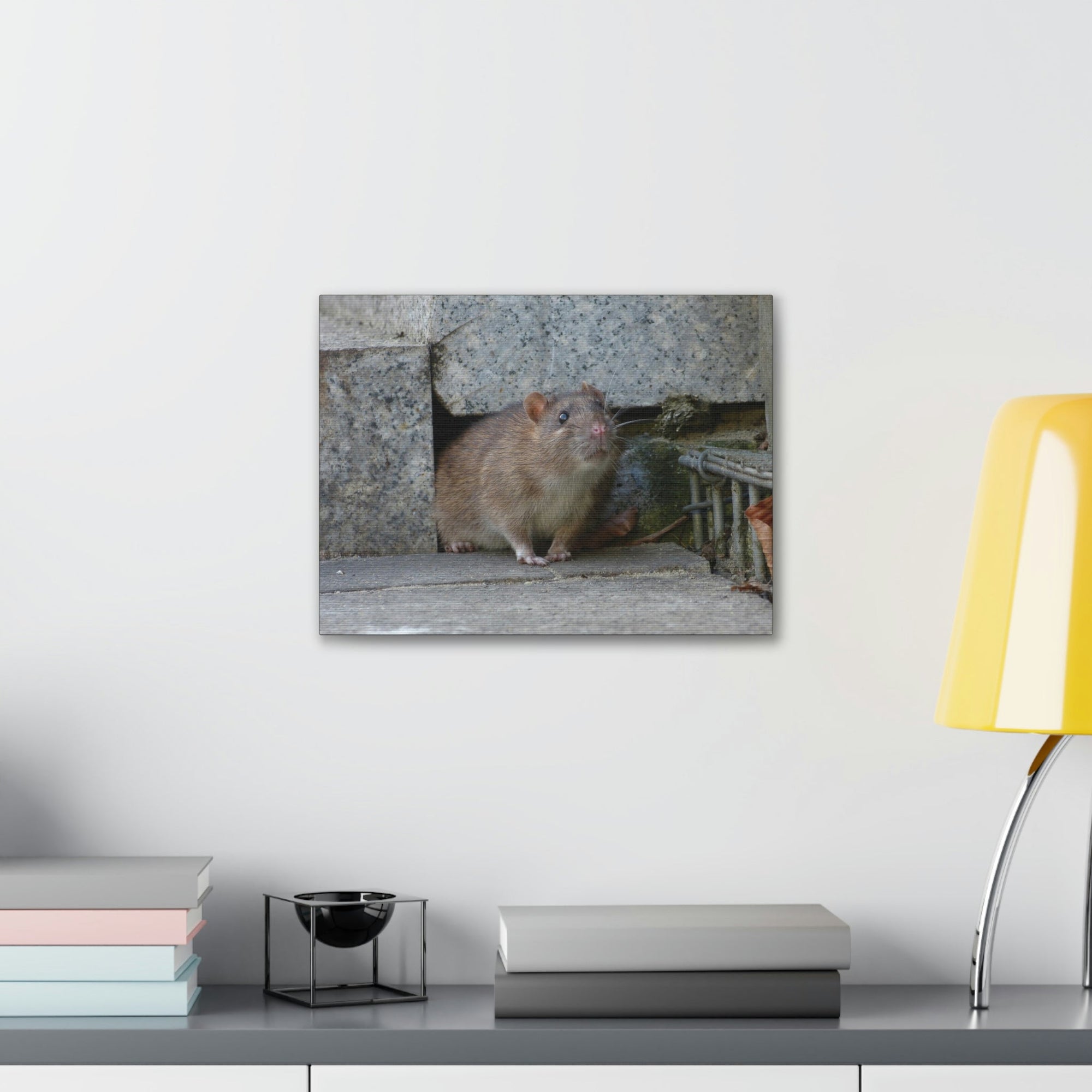 Scripture Walls Majestic Rat Art Majestic Rat Print Animal Wall Art Wildlife Canvas Prints Wall Art Ready to Hang Unframed-Express Your Love Gifts