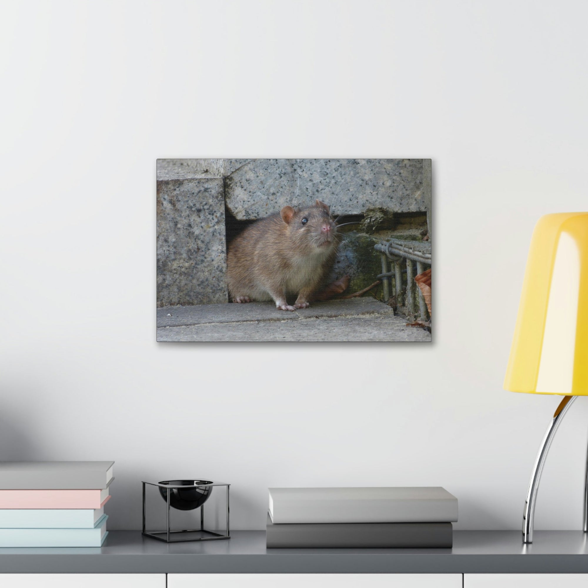 Scripture Walls Majestic Rat Art Majestic Rat Print Animal Wall Art Wildlife Canvas Prints Wall Art Ready to Hang Unframed-Express Your Love Gifts