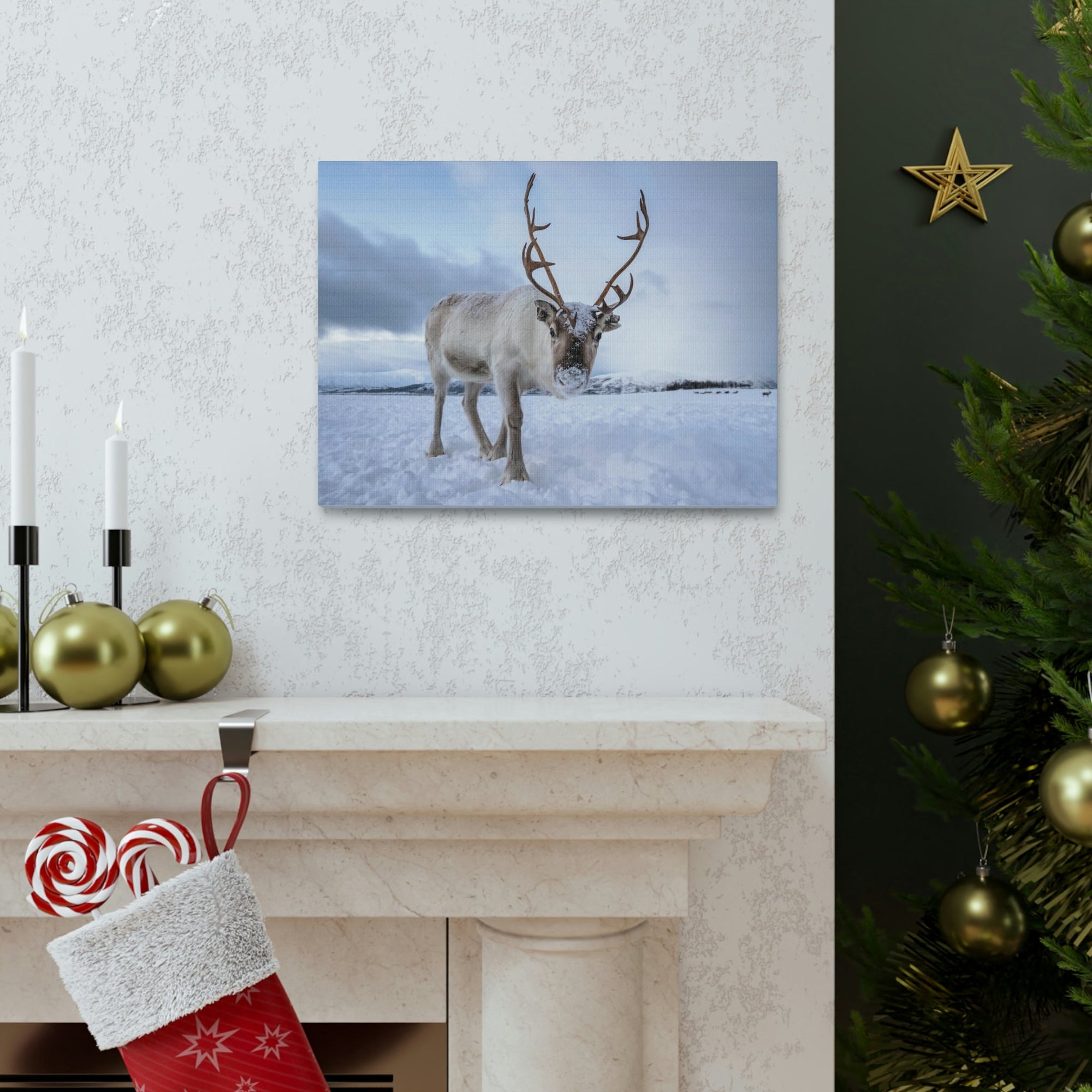 Scripture Walls Majestic Reindeer Art Majestic Reindeer Print Animal Wall Art Wildlife Canvas Prints Wall Art Ready to Hang Unframed-Express Your Love Gifts