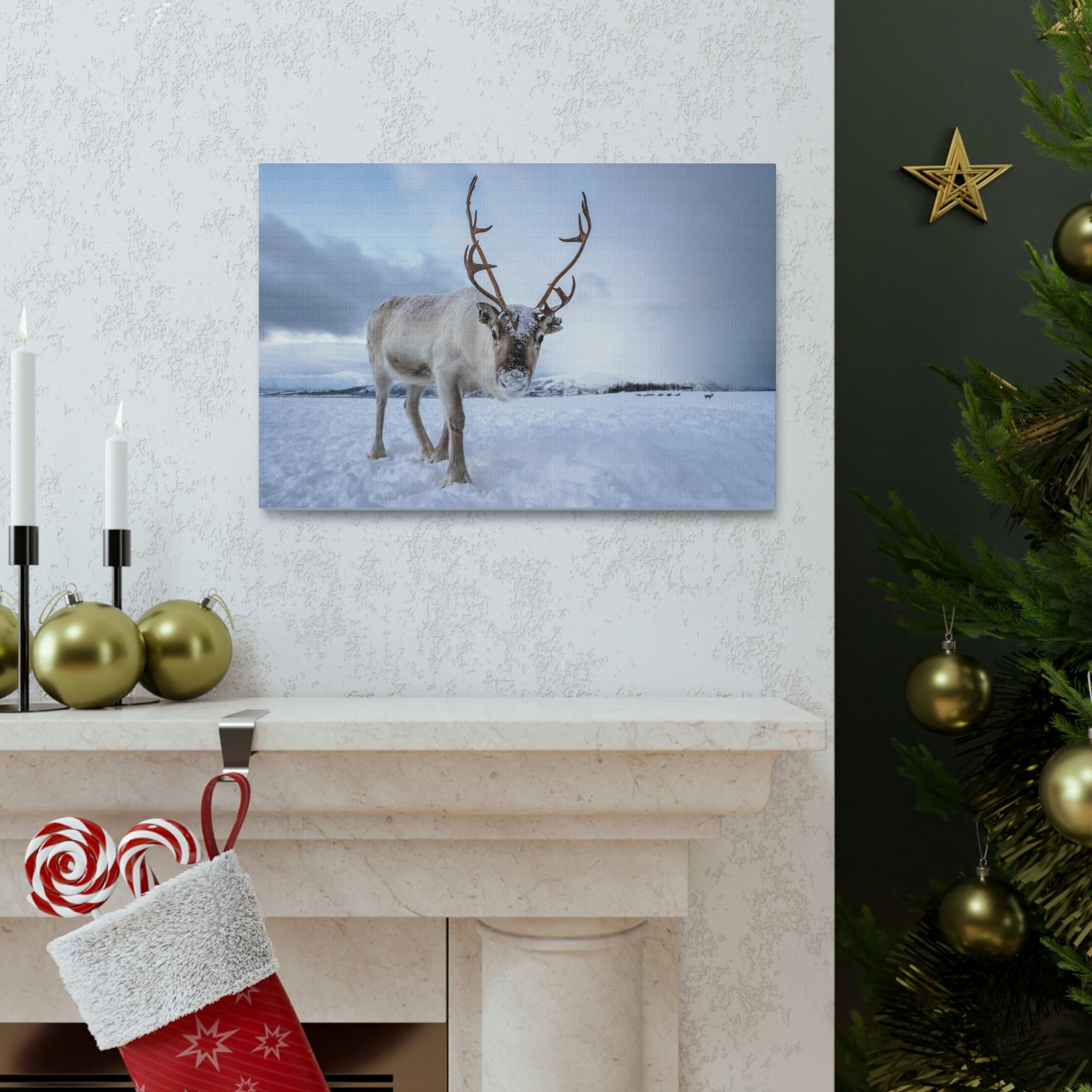 Scripture Walls Majestic Reindeer Art Majestic Reindeer Print Animal Wall Art Wildlife Canvas Prints Wall Art Ready to Hang Unframed-Express Your Love Gifts