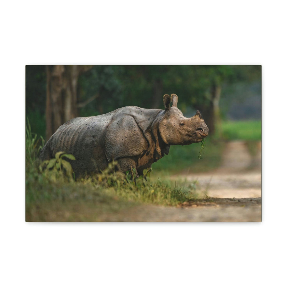 Scripture Walls Majestic Rhino Art Majestic Rhino Print Animal Wall Art Wildlife Canvas Prints Wall Art Ready to Hang Unframed-Express Your Love Gifts