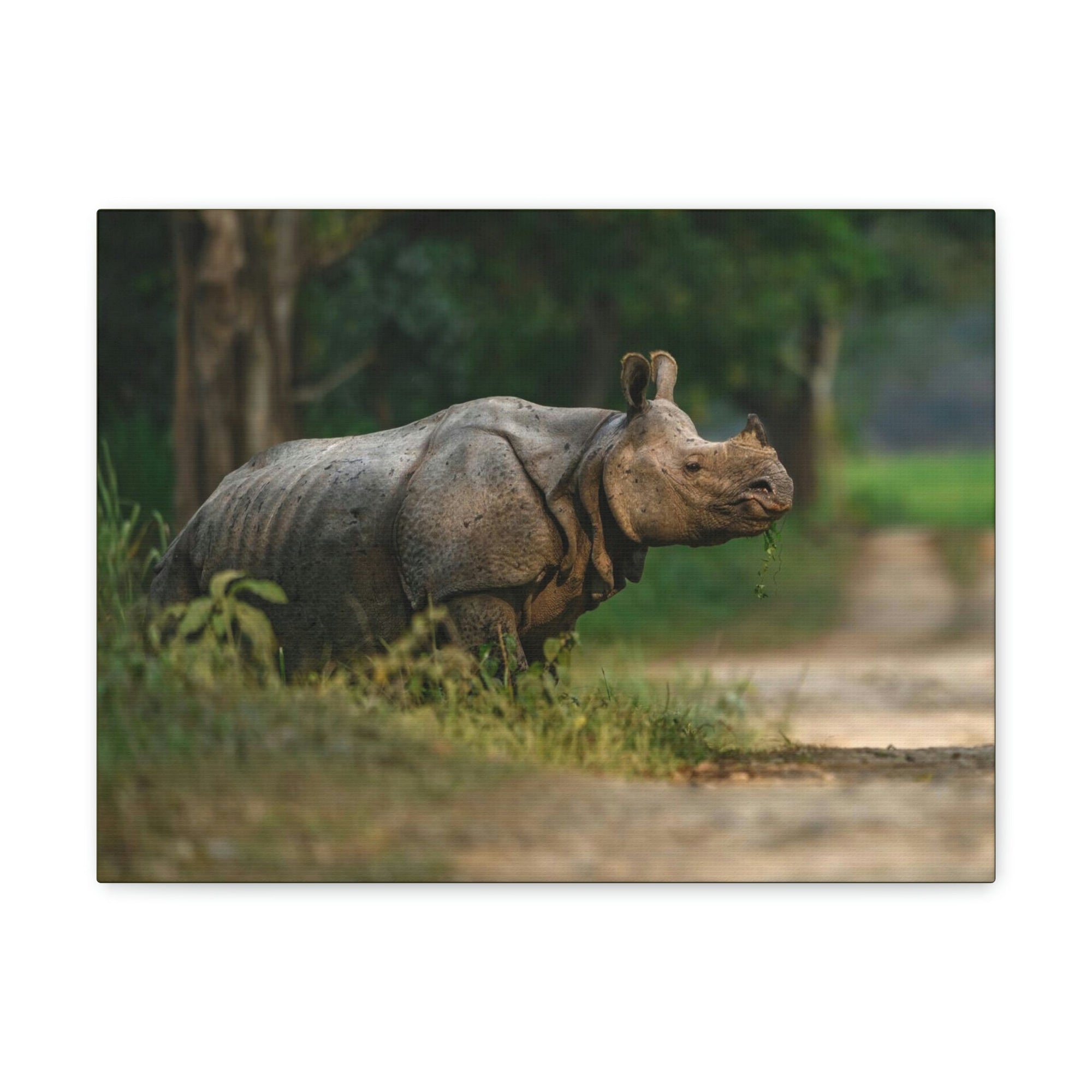 Scripture Walls Majestic Rhino Art Majestic Rhino Print Animal Wall Art Wildlife Canvas Prints Wall Art Ready to Hang Unframed-Express Your Love Gifts