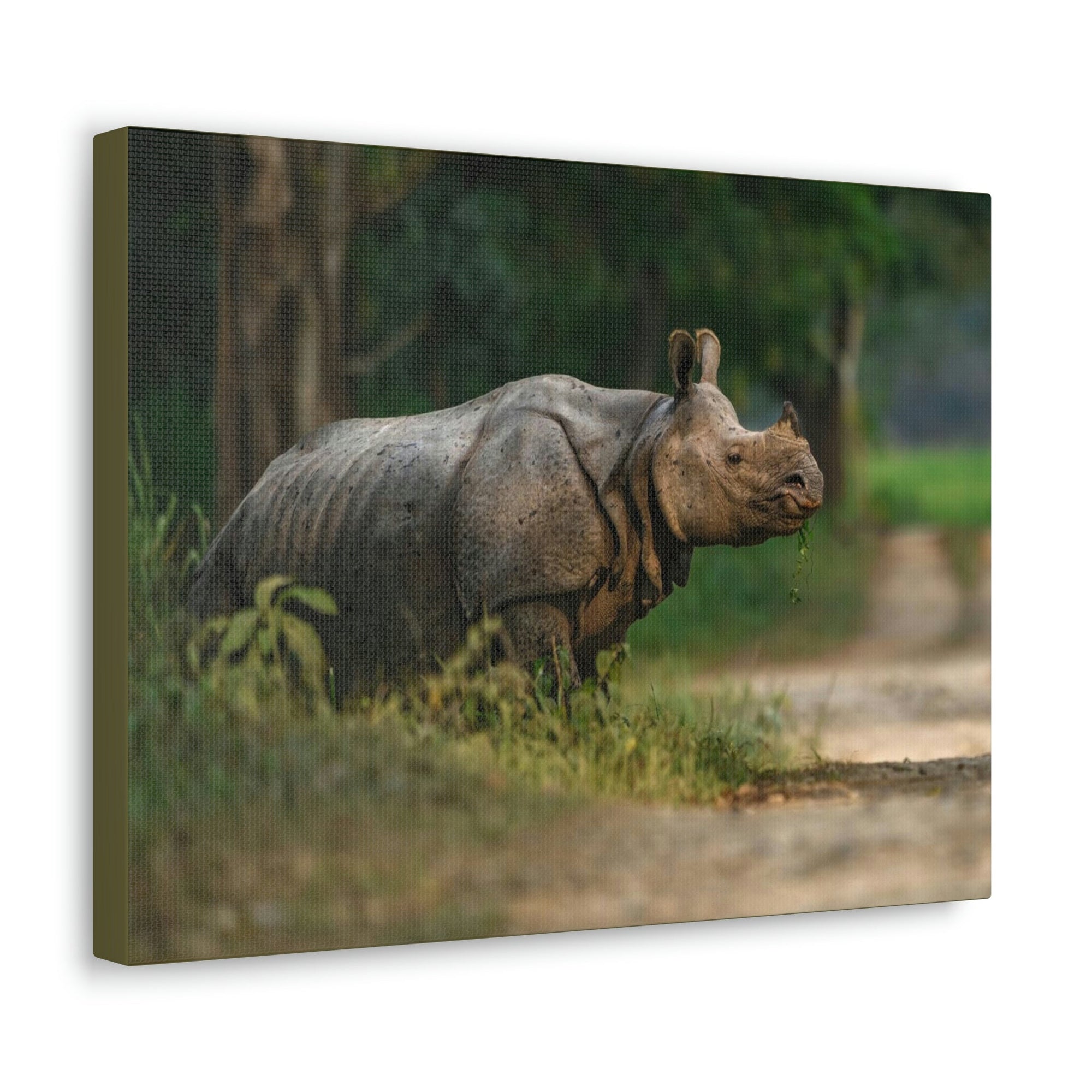 Scripture Walls Majestic Rhino Art Majestic Rhino Print Animal Wall Art Wildlife Canvas Prints Wall Art Ready to Hang Unframed-Express Your Love Gifts