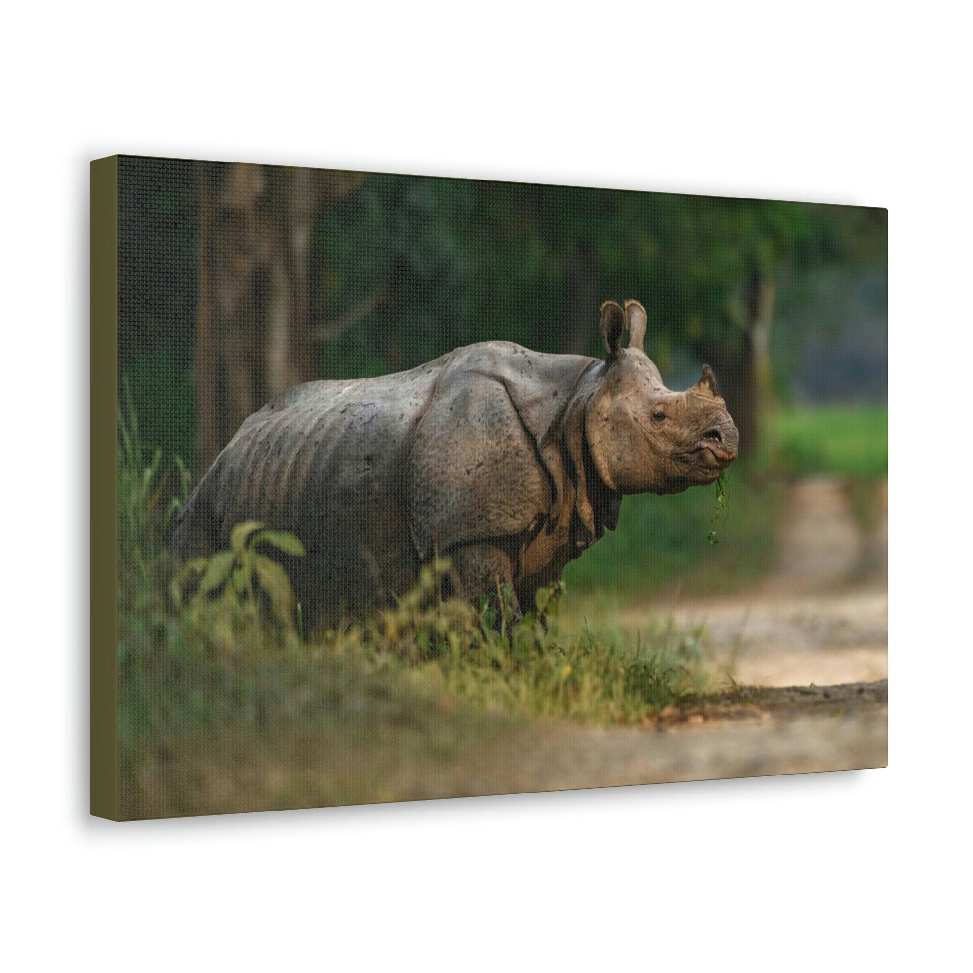 Scripture Walls Majestic Rhino Art Majestic Rhino Print Animal Wall Art Wildlife Canvas Prints Wall Art Ready to Hang Unframed-Express Your Love Gifts