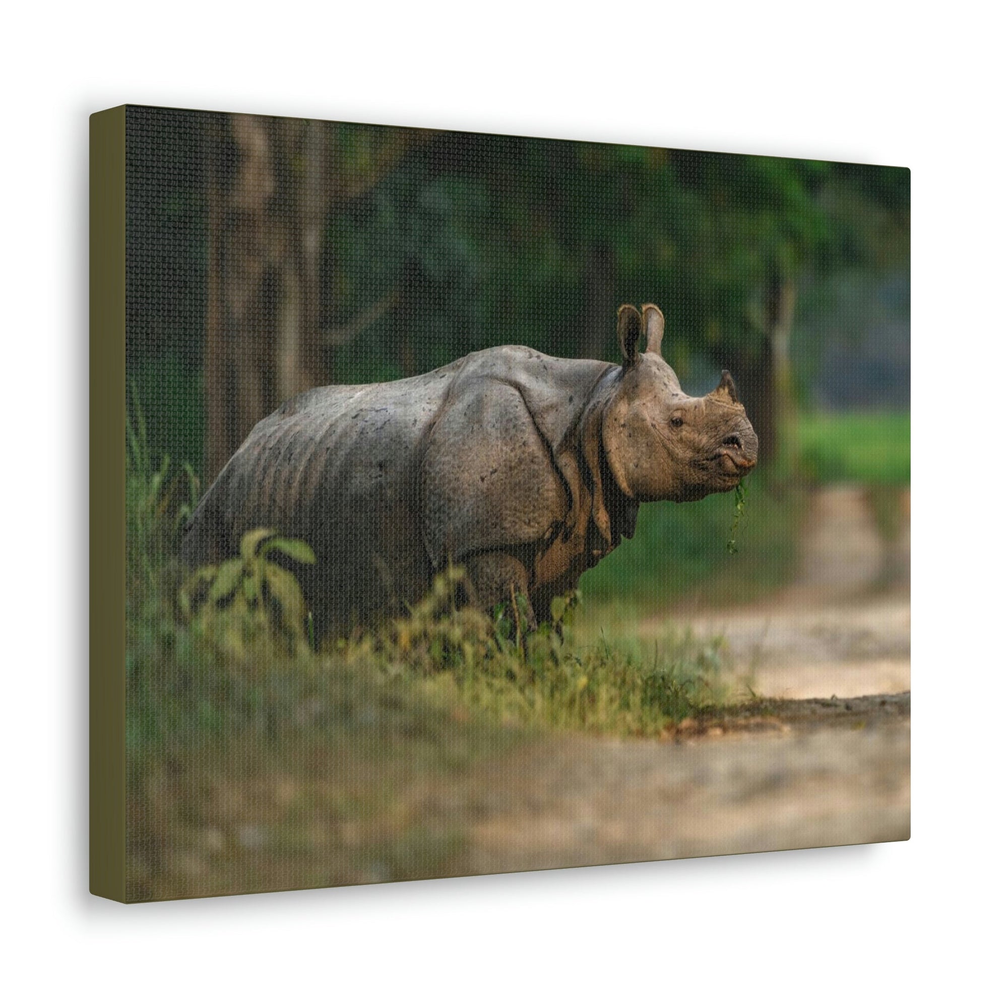 Scripture Walls Majestic Rhino Art Majestic Rhino Print Animal Wall Art Wildlife Canvas Prints Wall Art Ready to Hang Unframed-Express Your Love Gifts