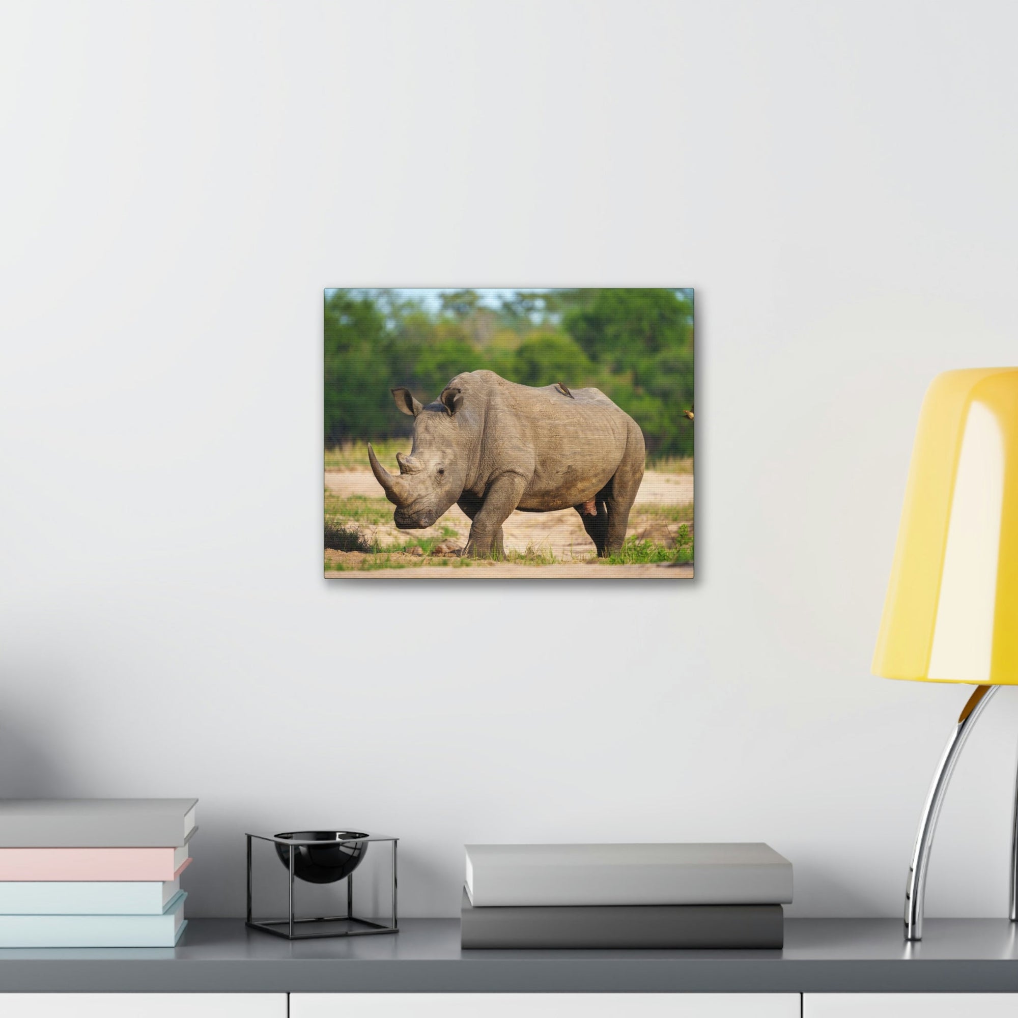 Scripture Walls Majestic Rhinoceros Art Majestic Rhinoceros Print Animal Wall Art Wildlife Canvas Prints Wall Art Ready to Hang Unframed-Express Your Love Gifts